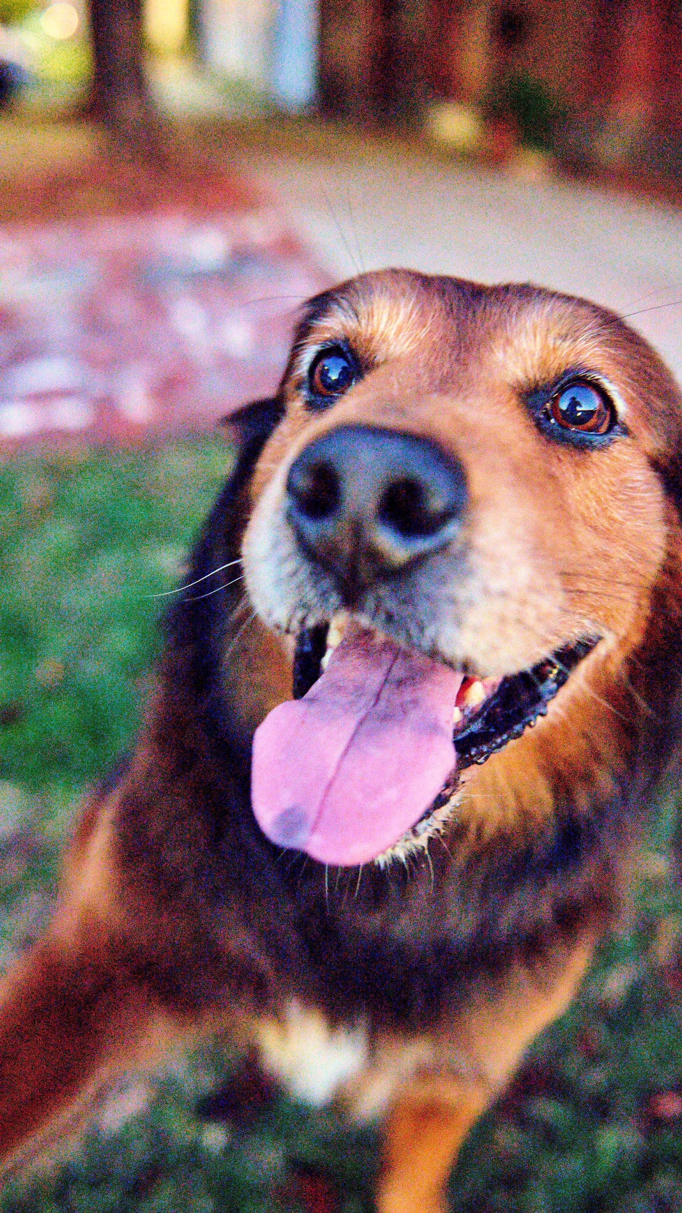 11.08.25 Fall in Birmingham-DMS_1058.jpg