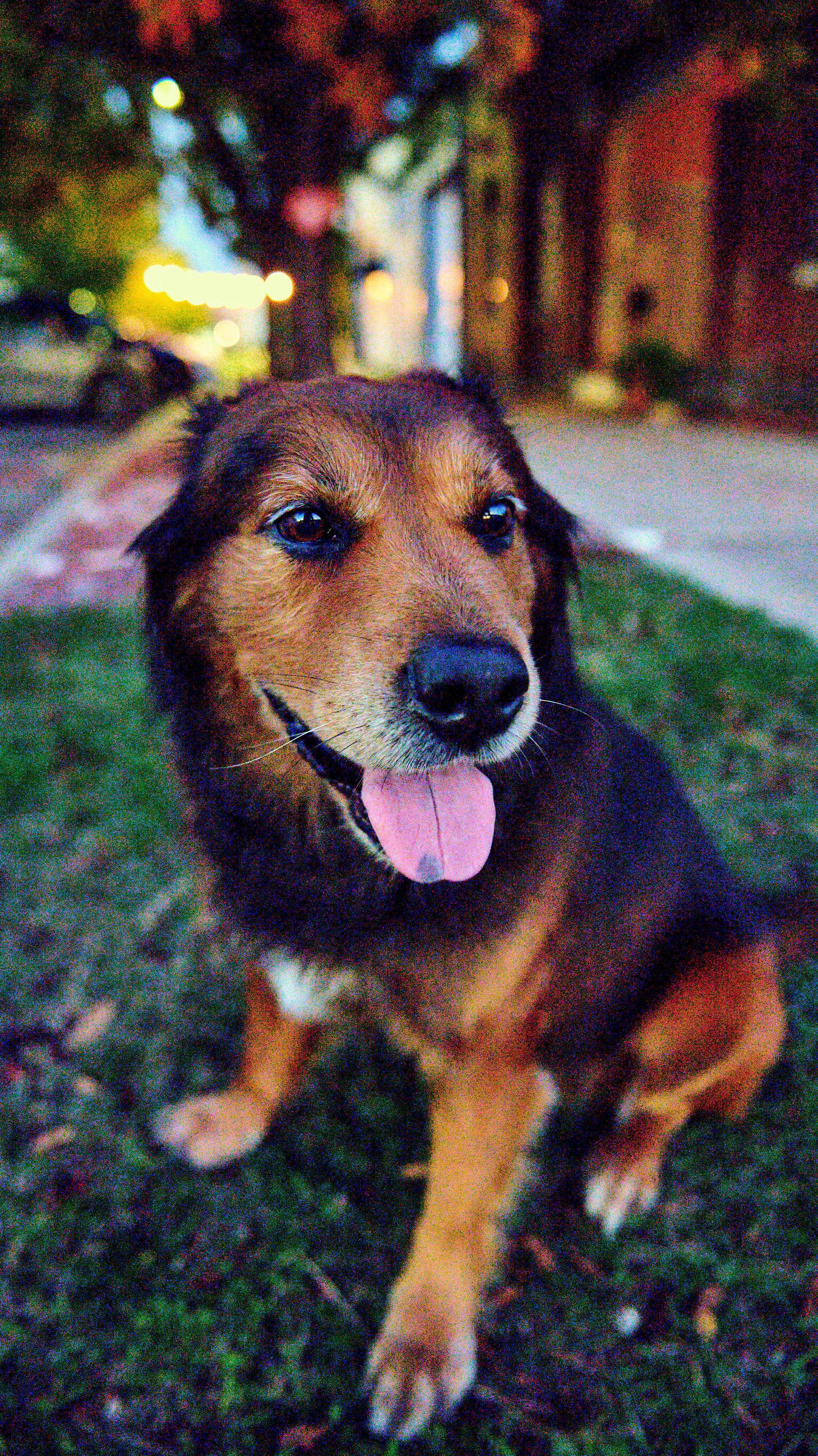 11.08.25 Fall in Birmingham-DMS_1068.jpg