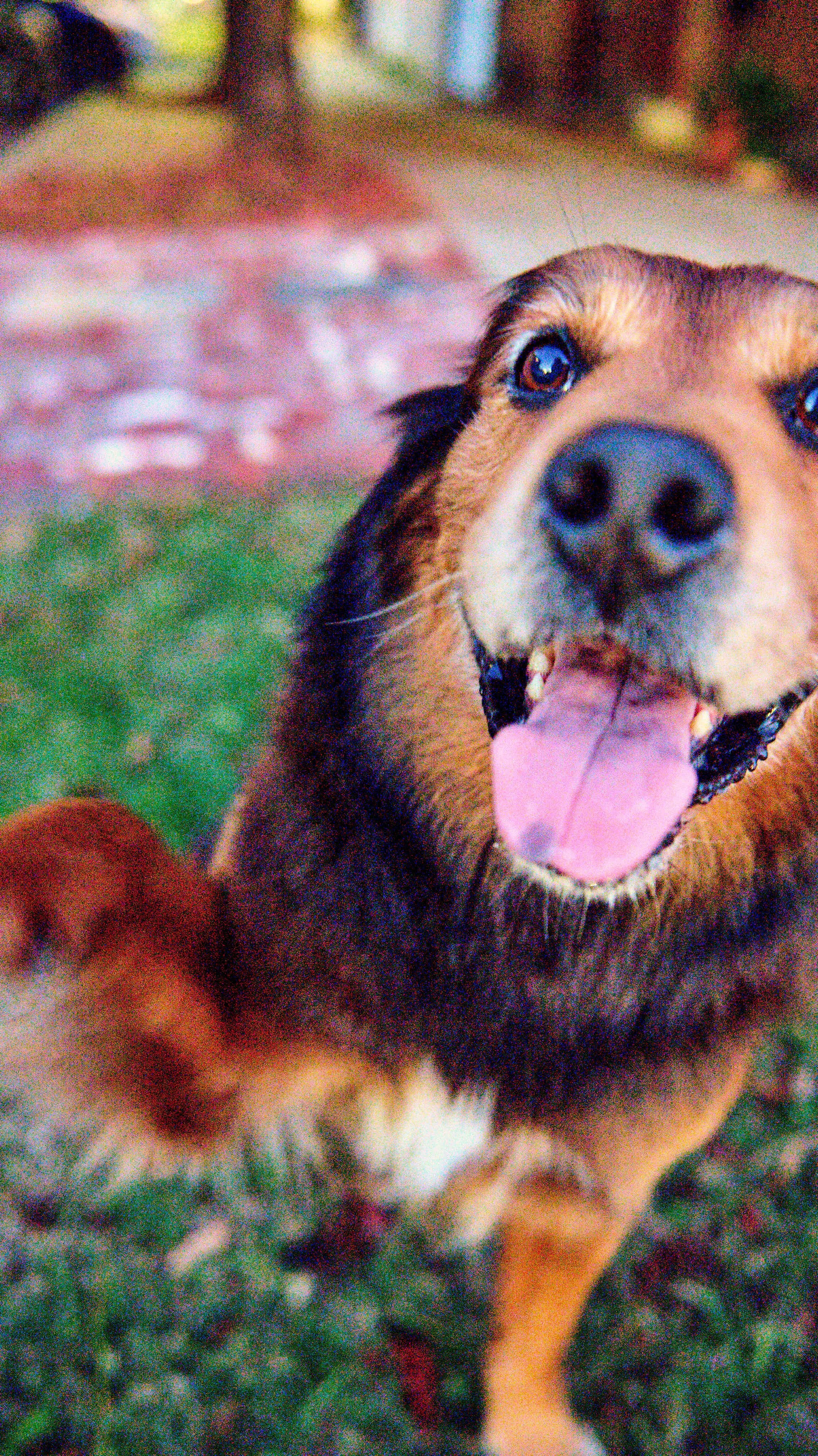 11.08.25 Fall in Birmingham-DMS_1057.jpg