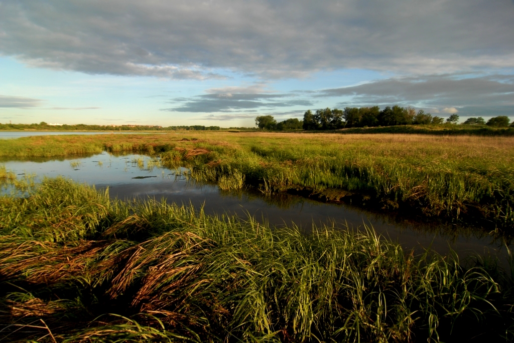 Photo by Michael Feller, courtesy of NYC Parks
