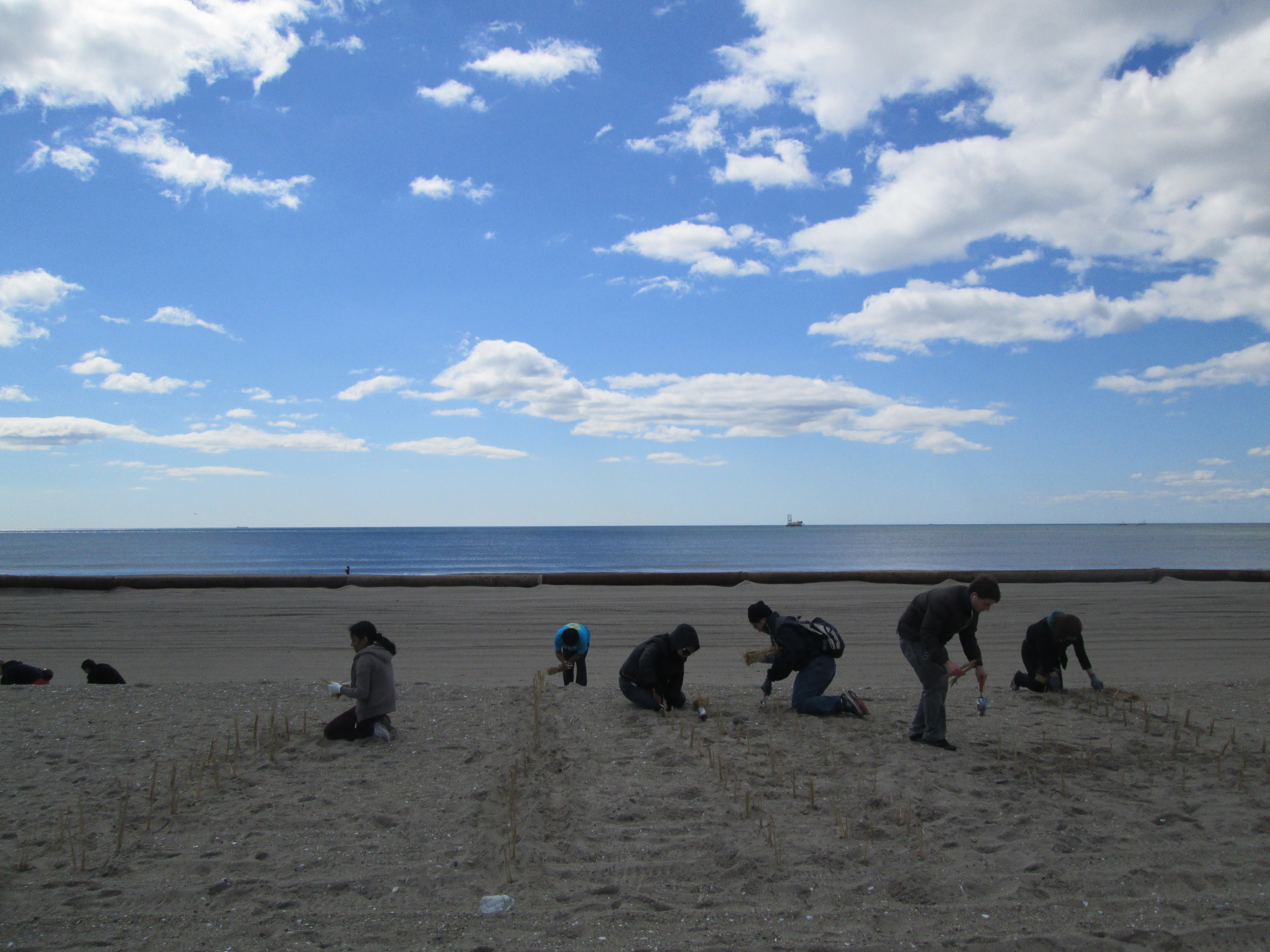 Planting 1.jpg
