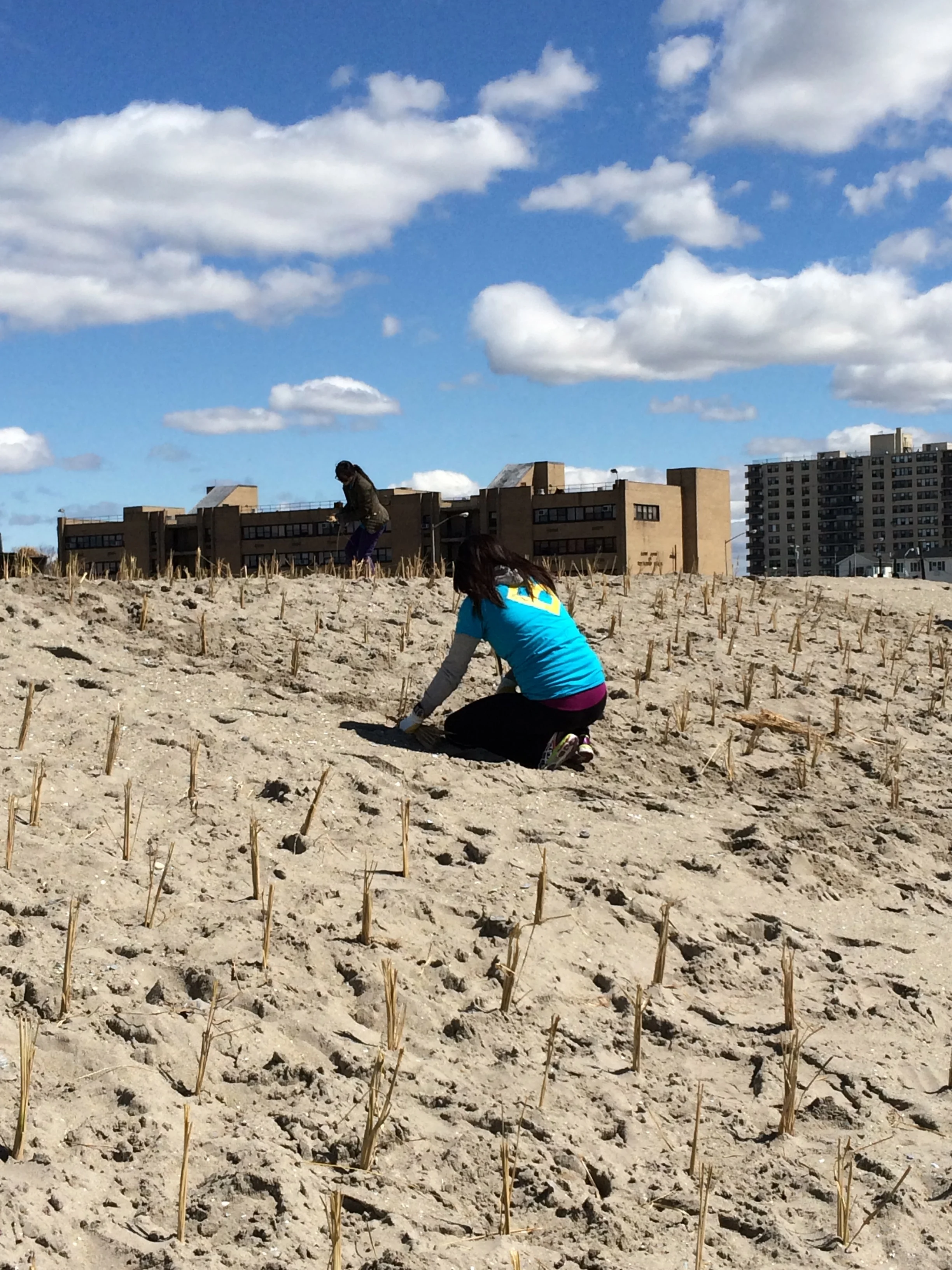Planting 8.jpg