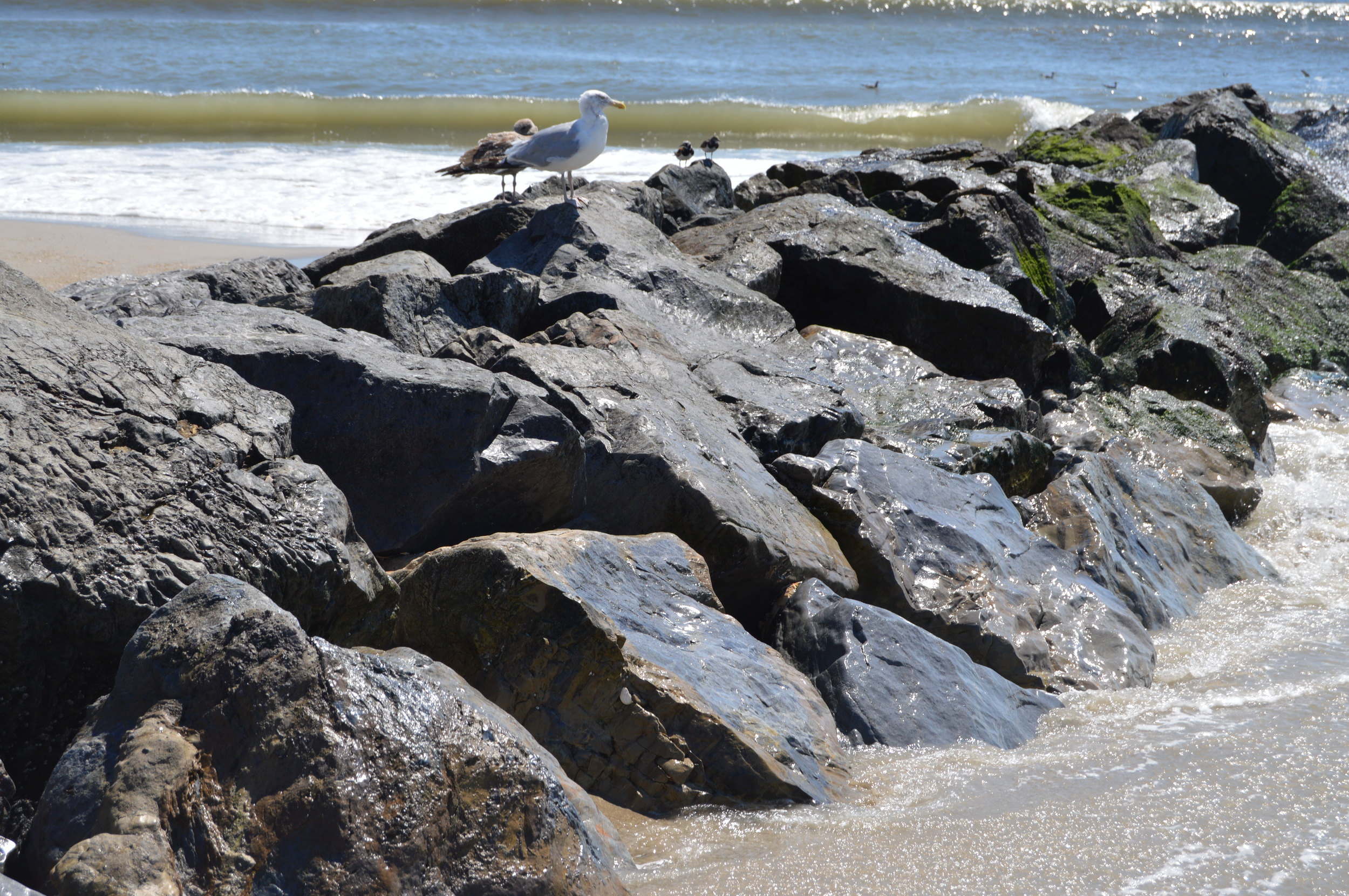 Fort Tilden Beach Jetty 8-2014.JPG