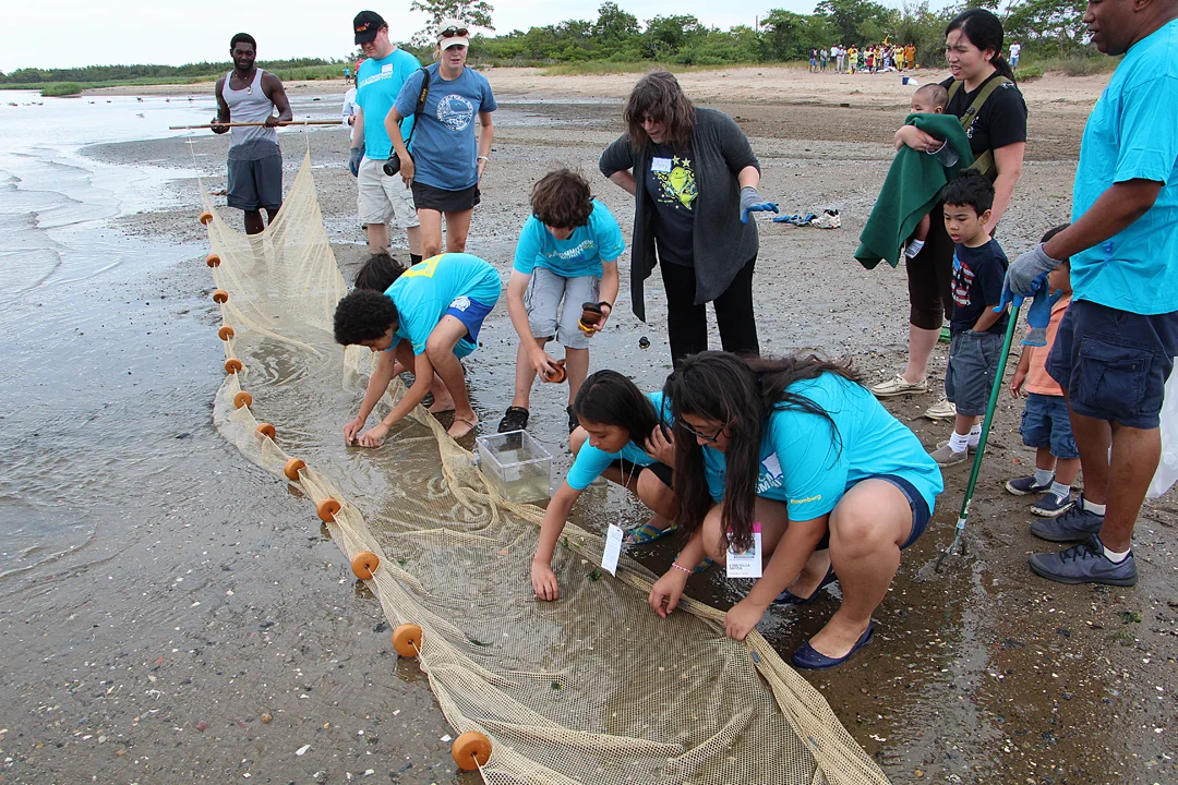 Beach cleanups provide an important chance to learn about the coastal and marine environments as well as the species that inhabit these spaces. 
