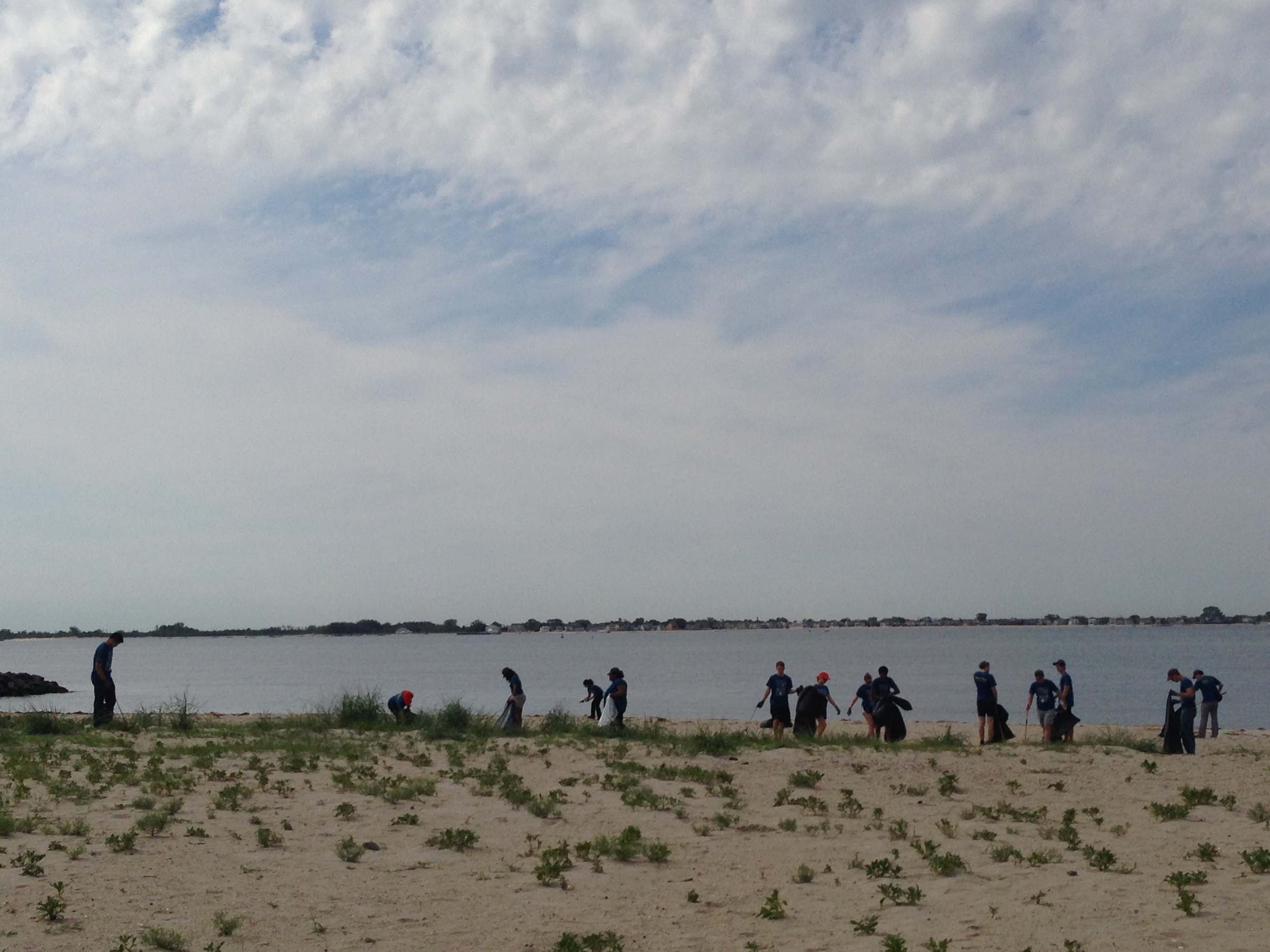  Volunteers comb the beach during a Plumb Beach cleanup. 
