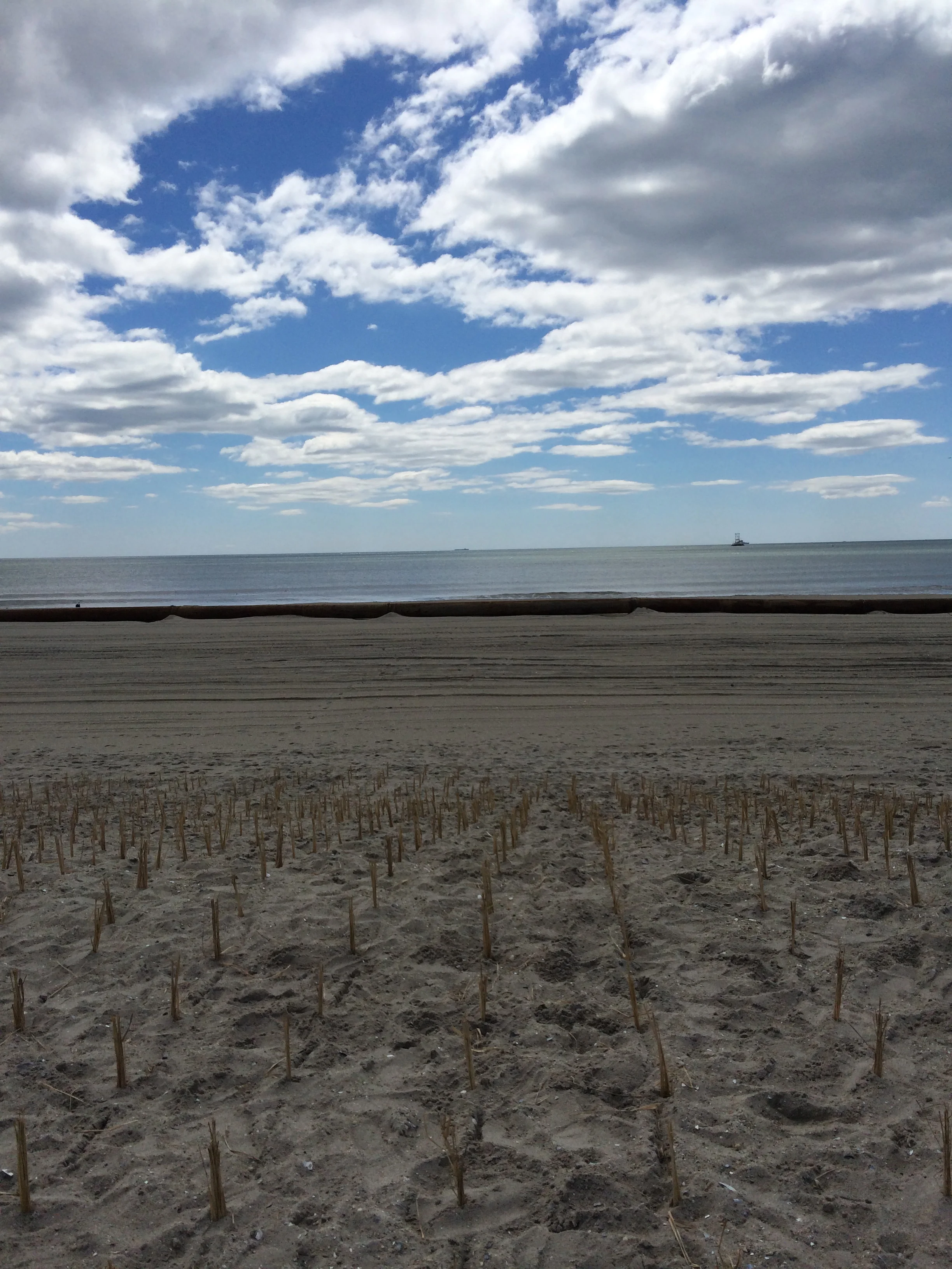 Dunes buffer ocean waves and protect the coast and coastal communities from storms and sea level rise.
