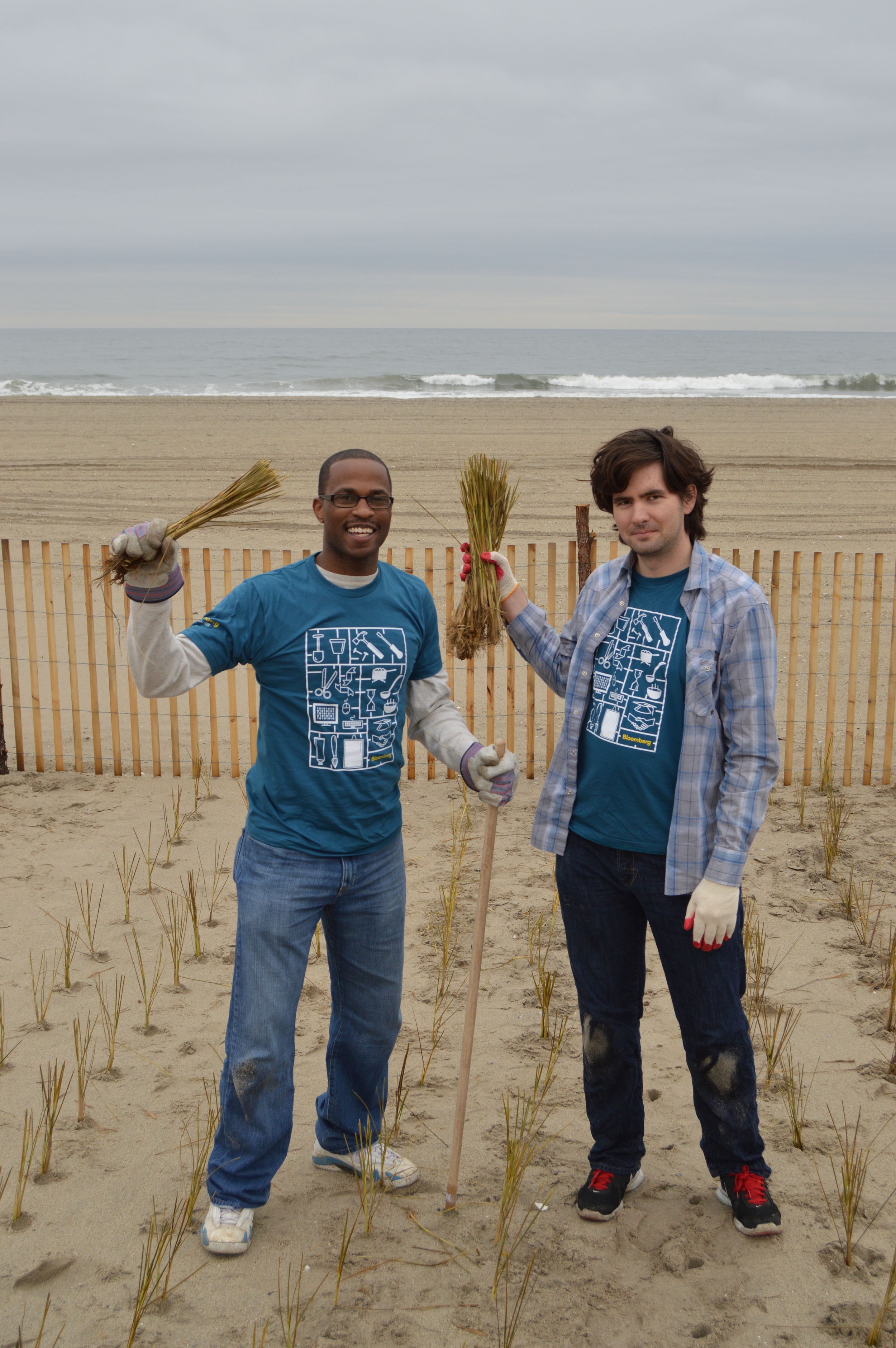  Volunteers proudly pose with the beach grass culms they have planted on the Rockaway dunes. 