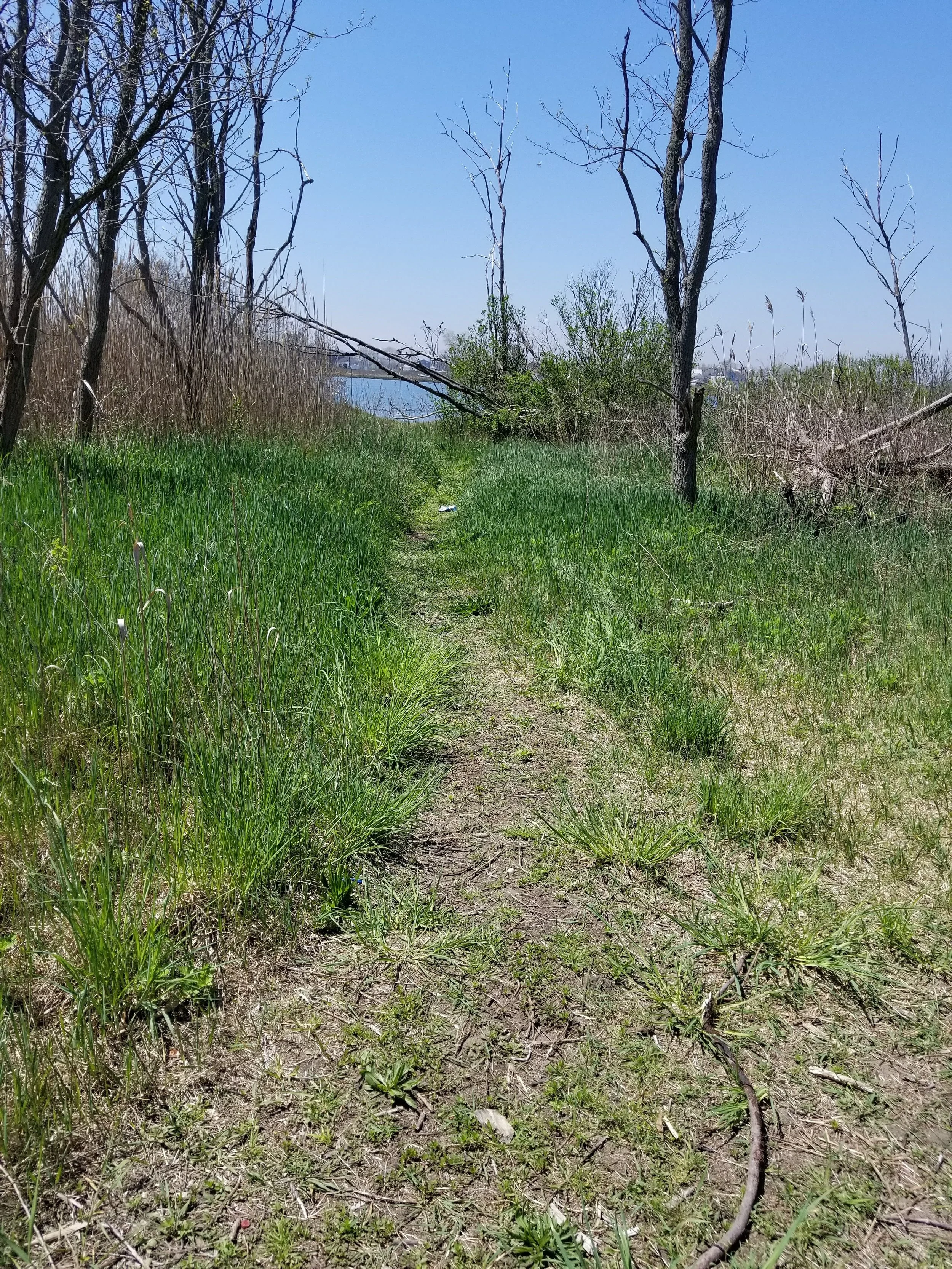 One mile of trail in Bayswater Park will be improved, enhancing public access and the user experience. 