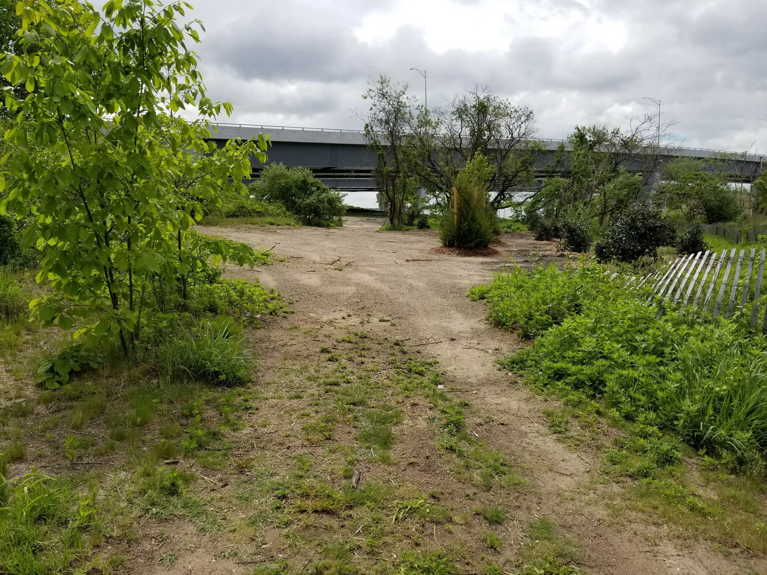 20170526_111629.jpg