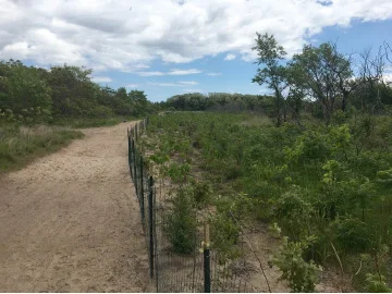 Trail after restoration