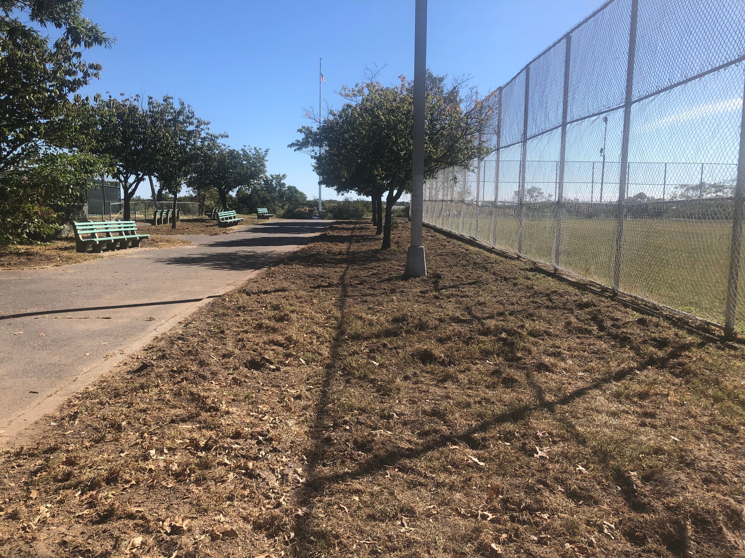 Turf removed along central pathway