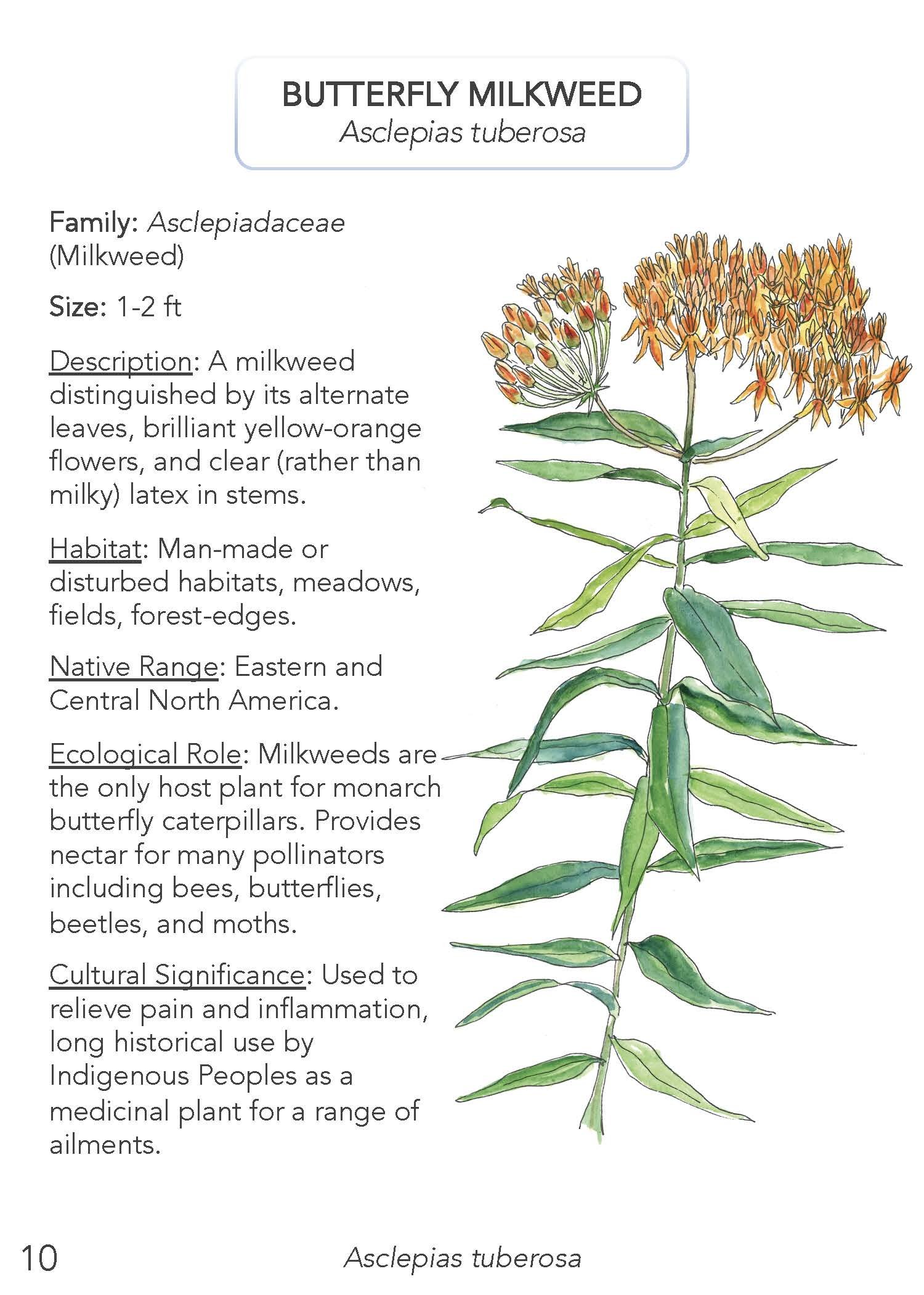 Field Guide 2022 Update_Page_12.jpg