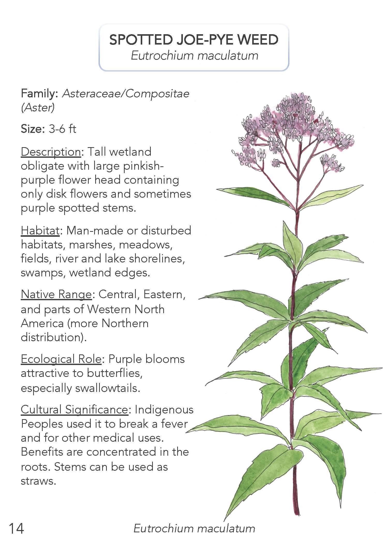 Field Guide 2022 Update_Page_16.jpg