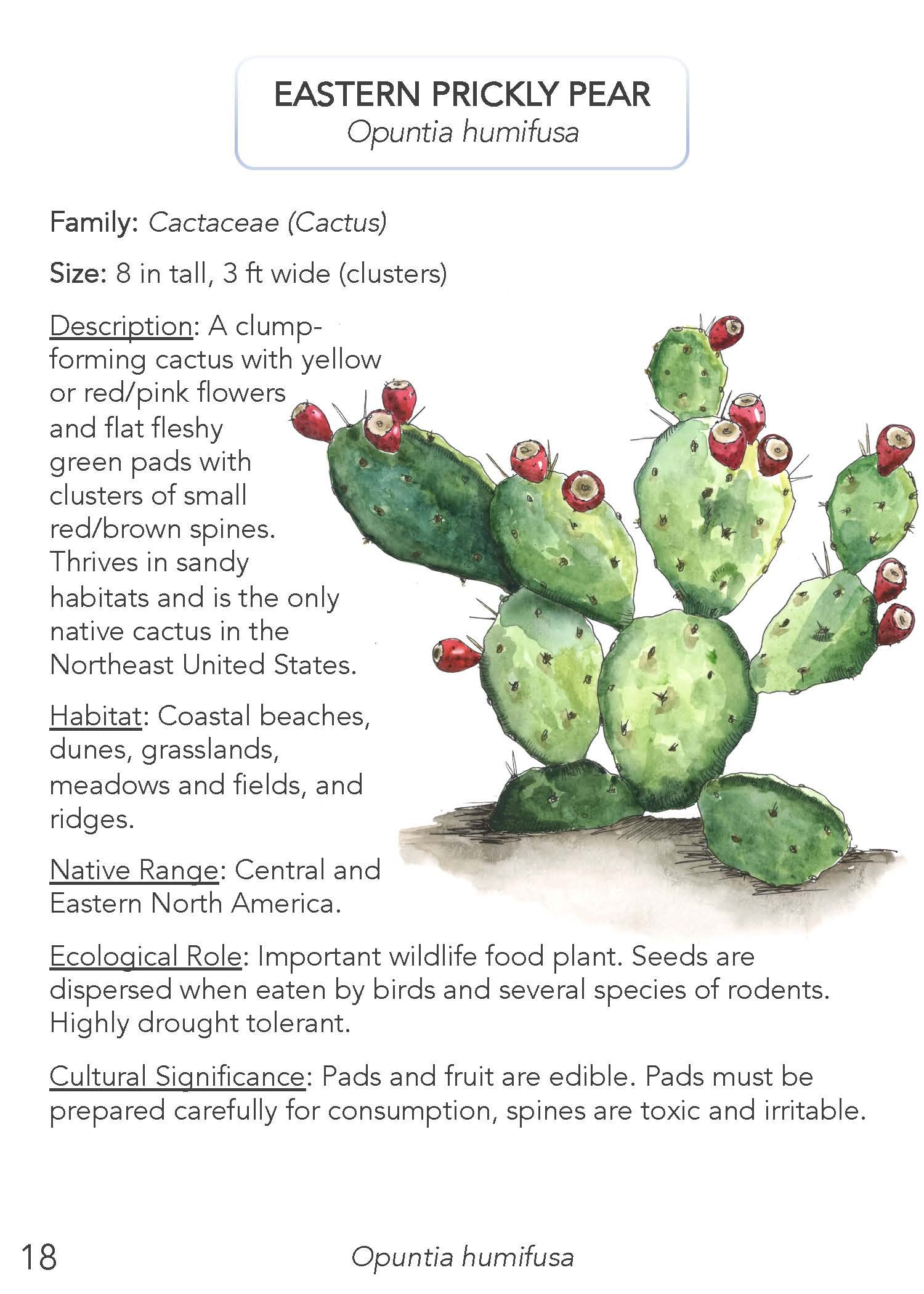 Field Guide 2022 Update_Page_20.jpg