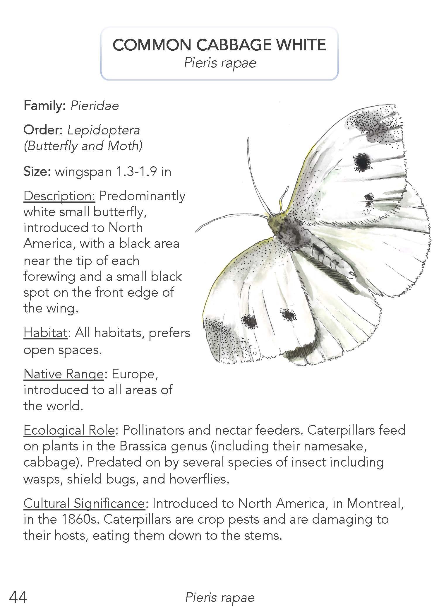 Field Guide 2022 Update_Page_46.jpg