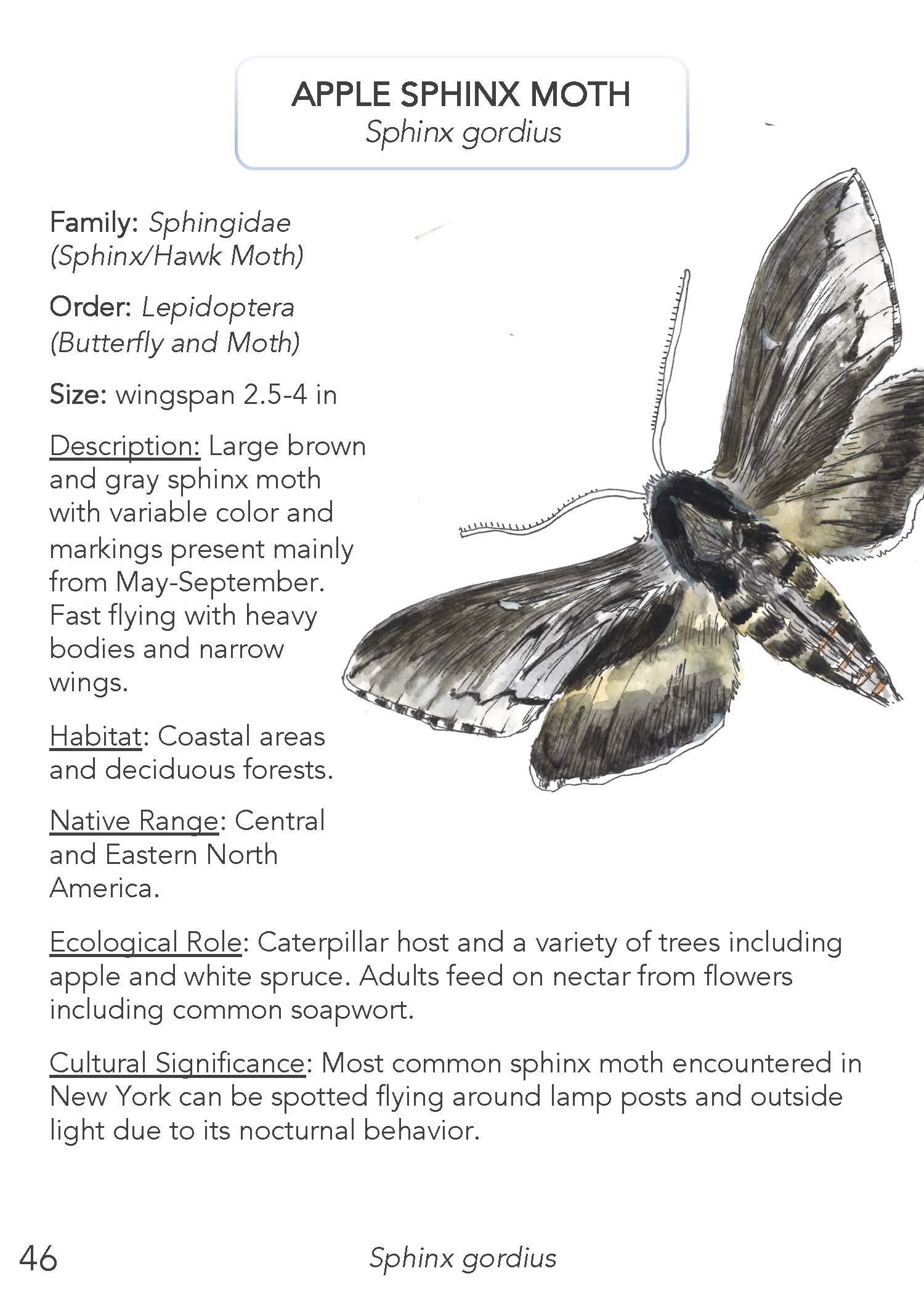 Field Guide 2022 Update_Page_48.jpg