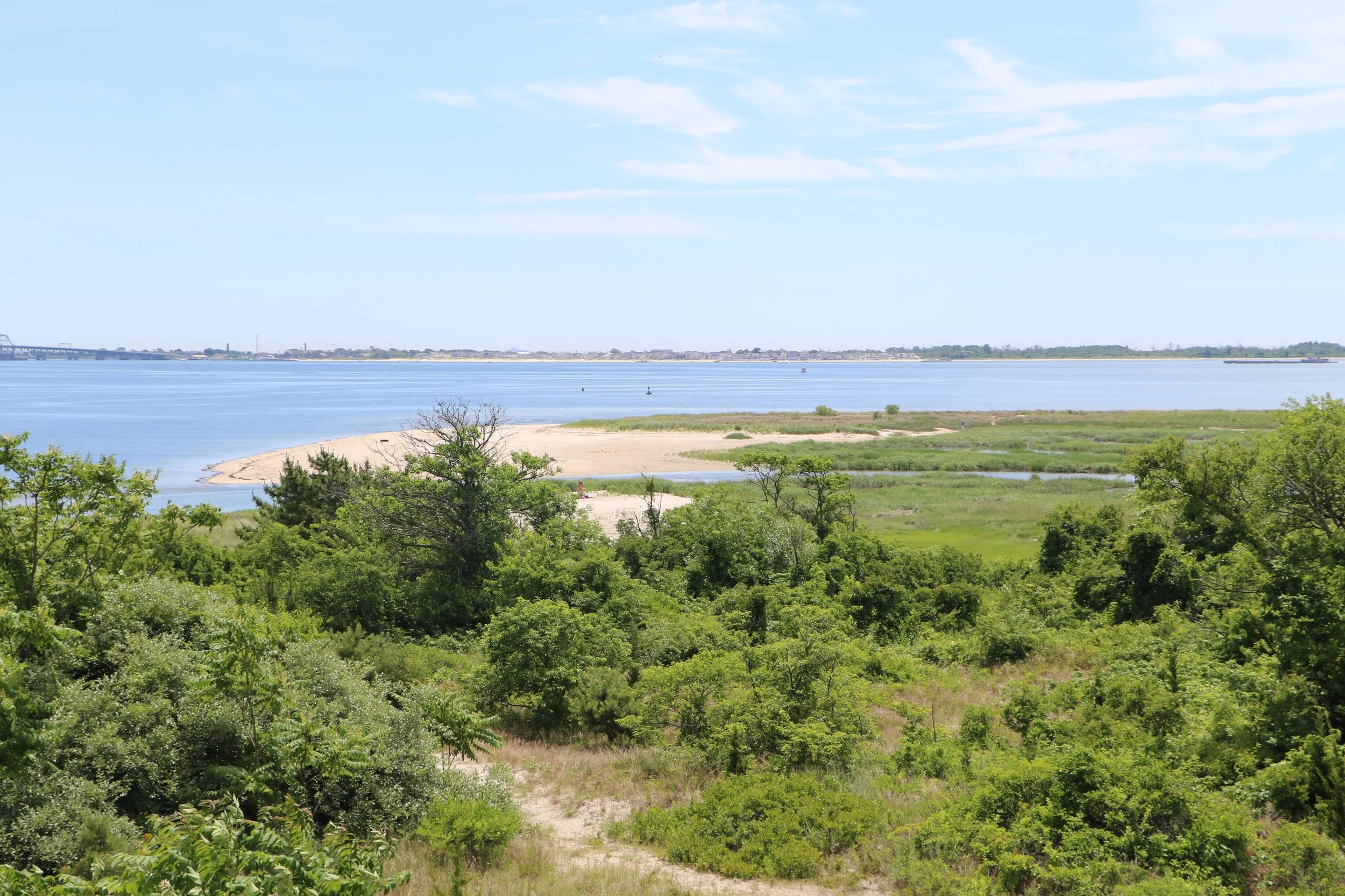 Plumb Beach Cleanup — Jamaica BayRockaway Parks Conservancy