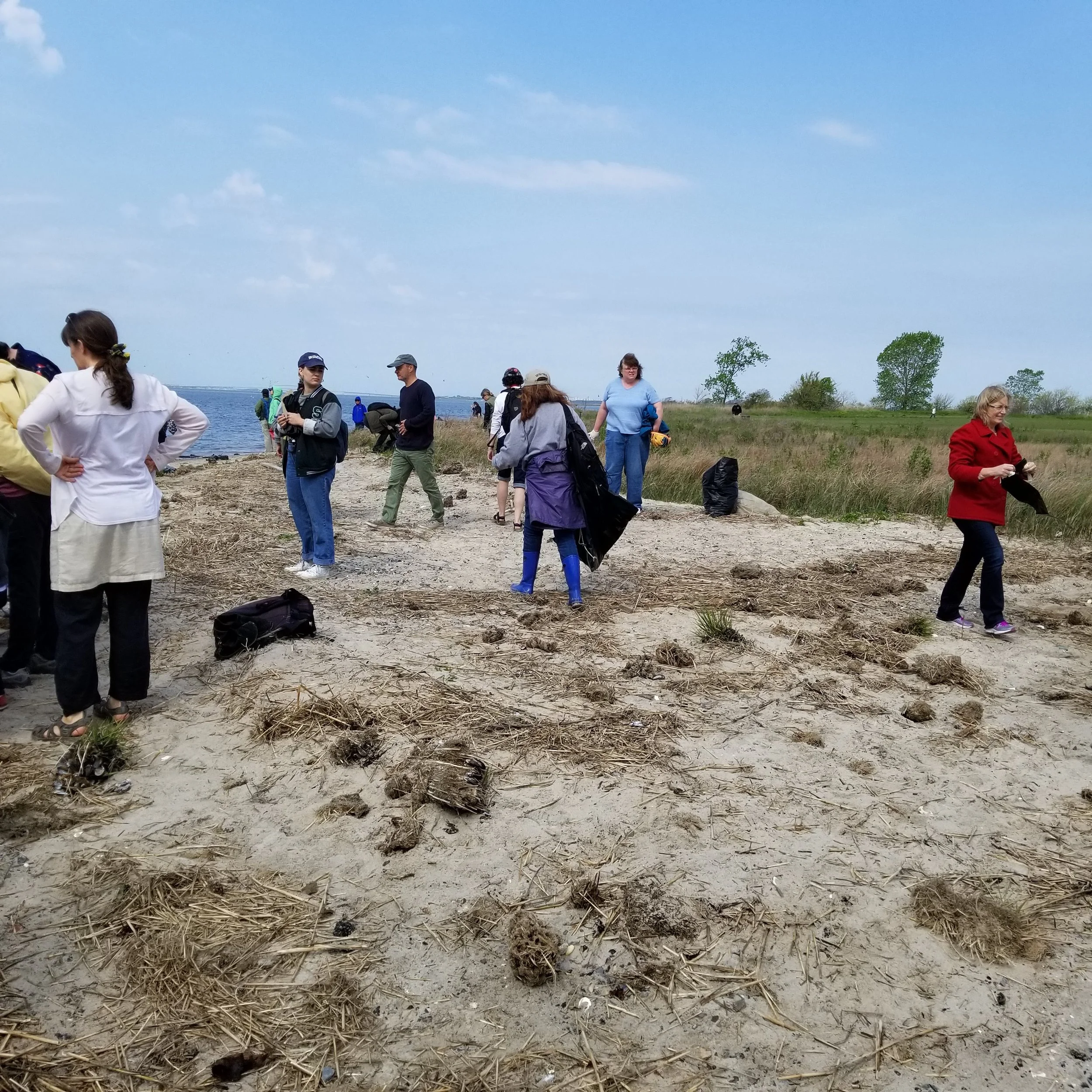 Cleanup at American Ballfields