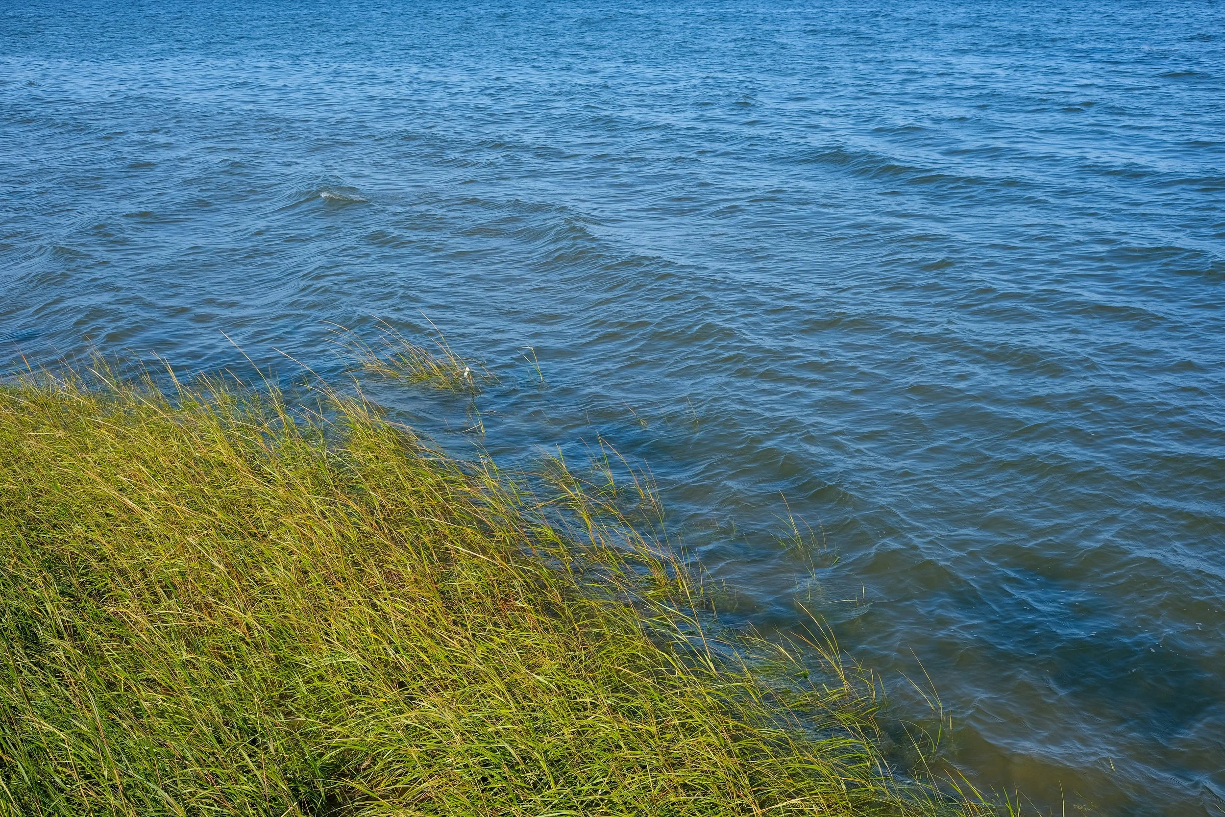 Jamaica Bay-Rockaway Parks Conservancy and Global Citizen Unite for International Coastal Cleanup Day