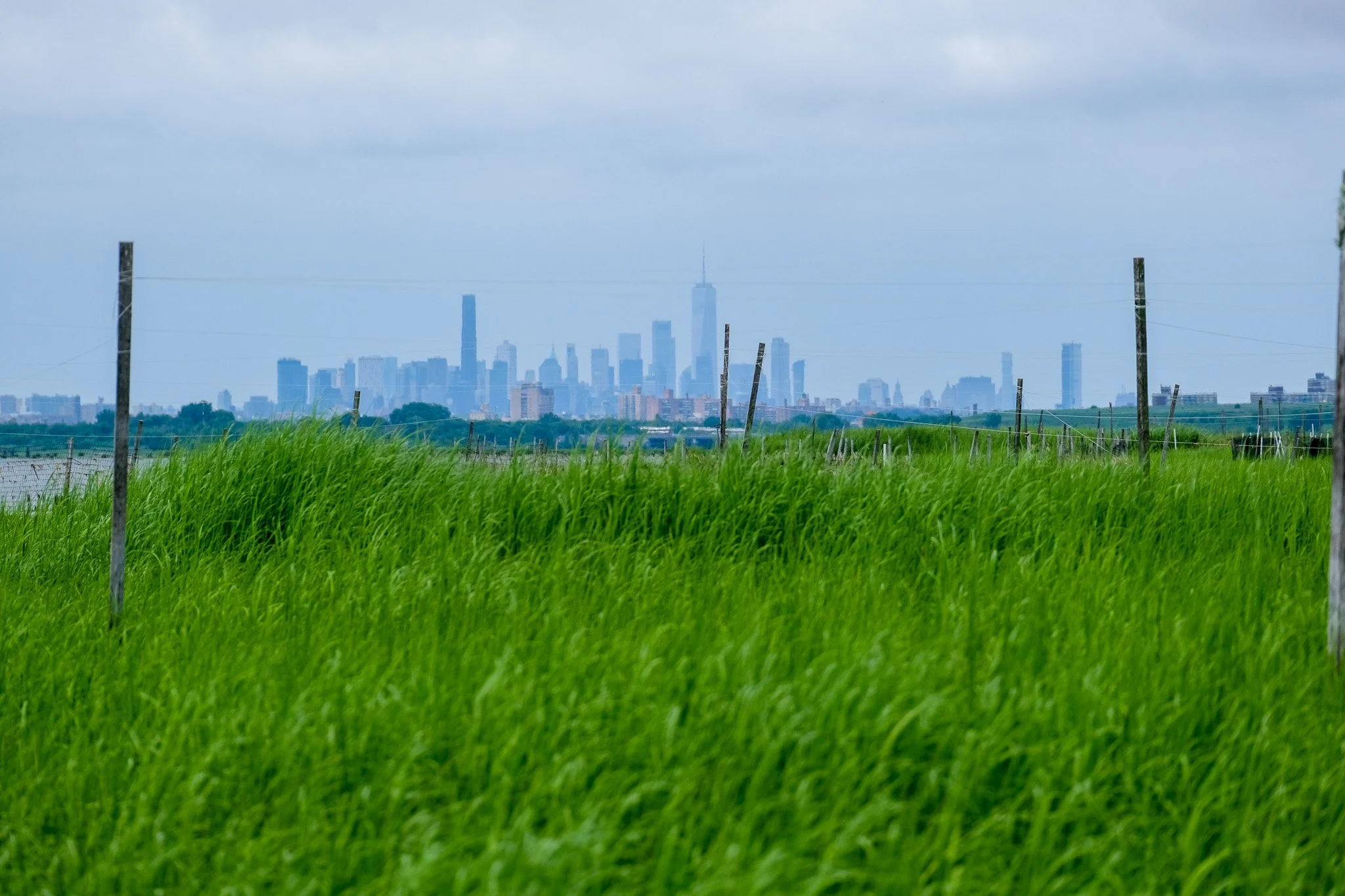 Support Jamaica Bay and Rockaway Parks&nbsp;