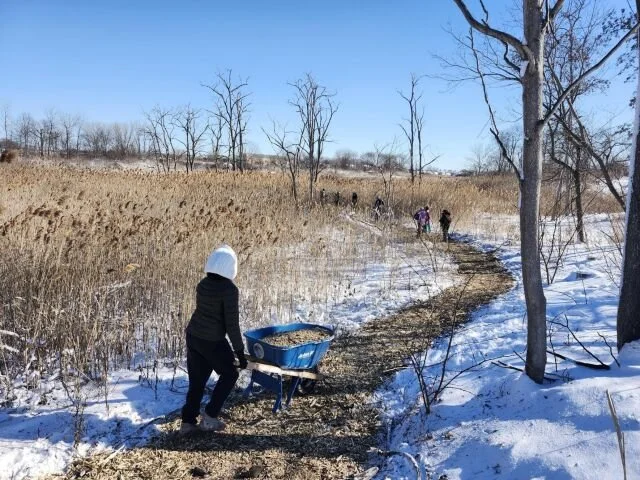 Idlewild Park Martin Luther King Jr. Day Woodland Tree Care with NYC Parks