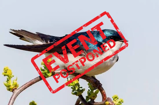 Winter Birding at Floyd Bennett Field with JBRPC and NYC Bird Alliance