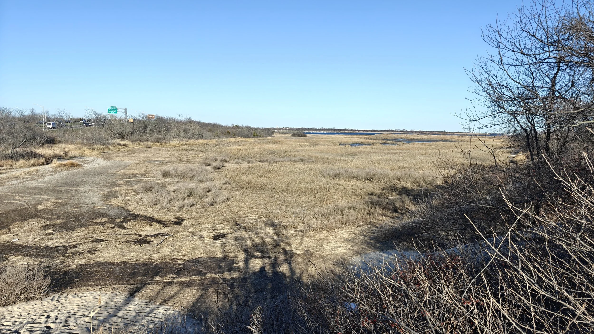Plumb Beach Spring Cleanup &amp; Birding 
