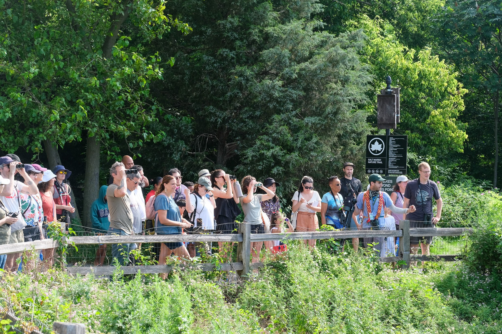 Spring Activities in Jamaica Bay and Rockaway