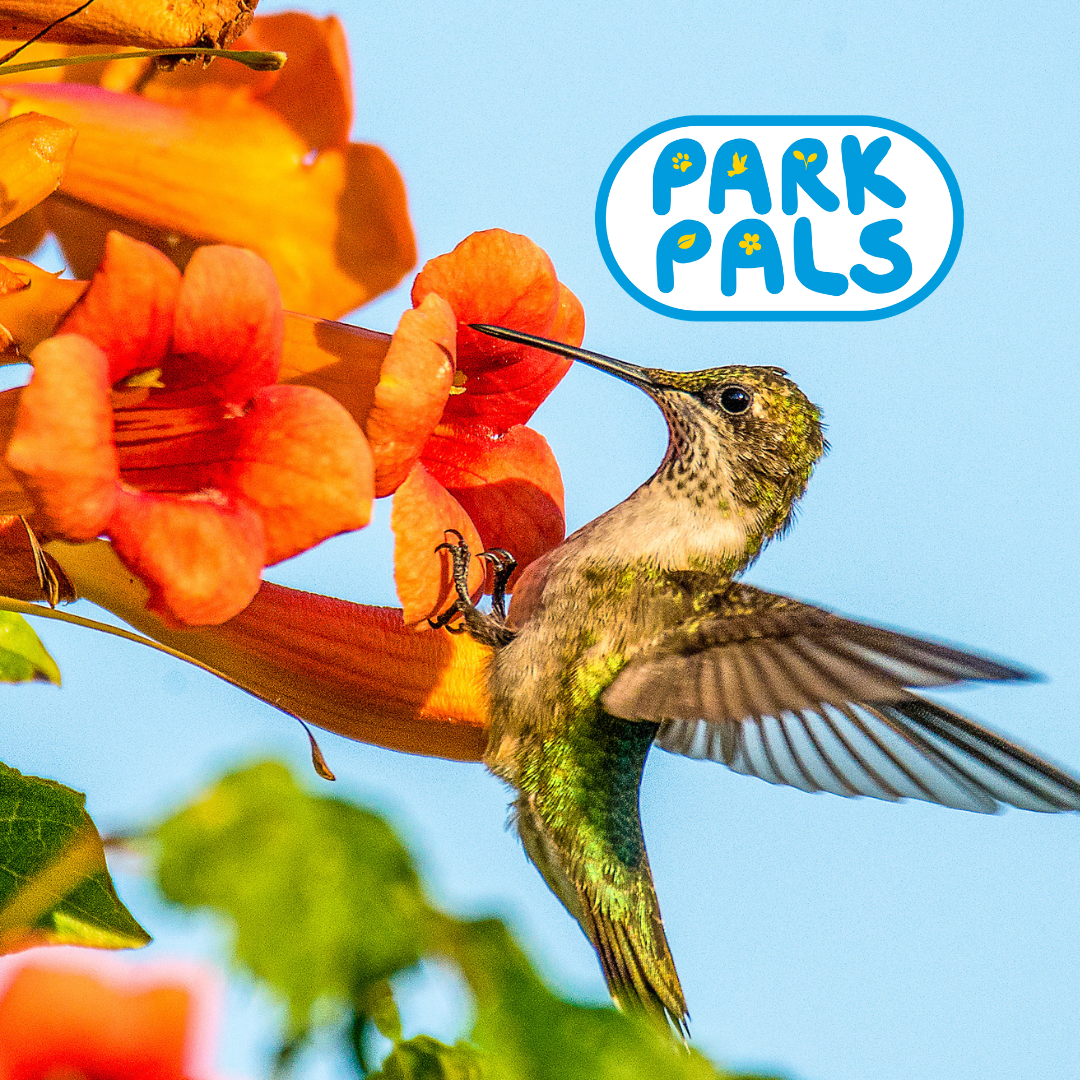 Pollinator Pals: A JBRPC &amp; Edgemere Farm Works Family Program