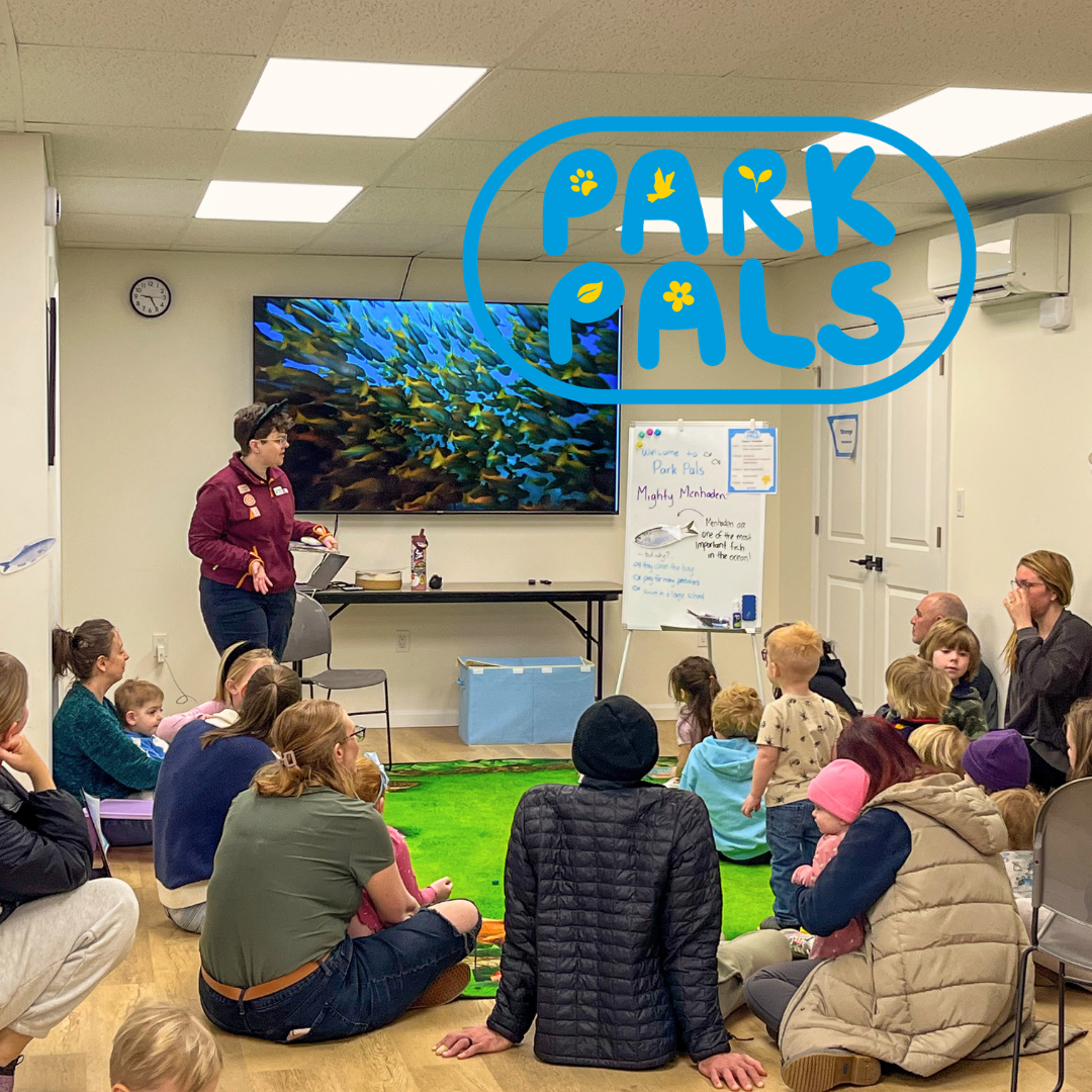 Park Pals: Signs of Spring