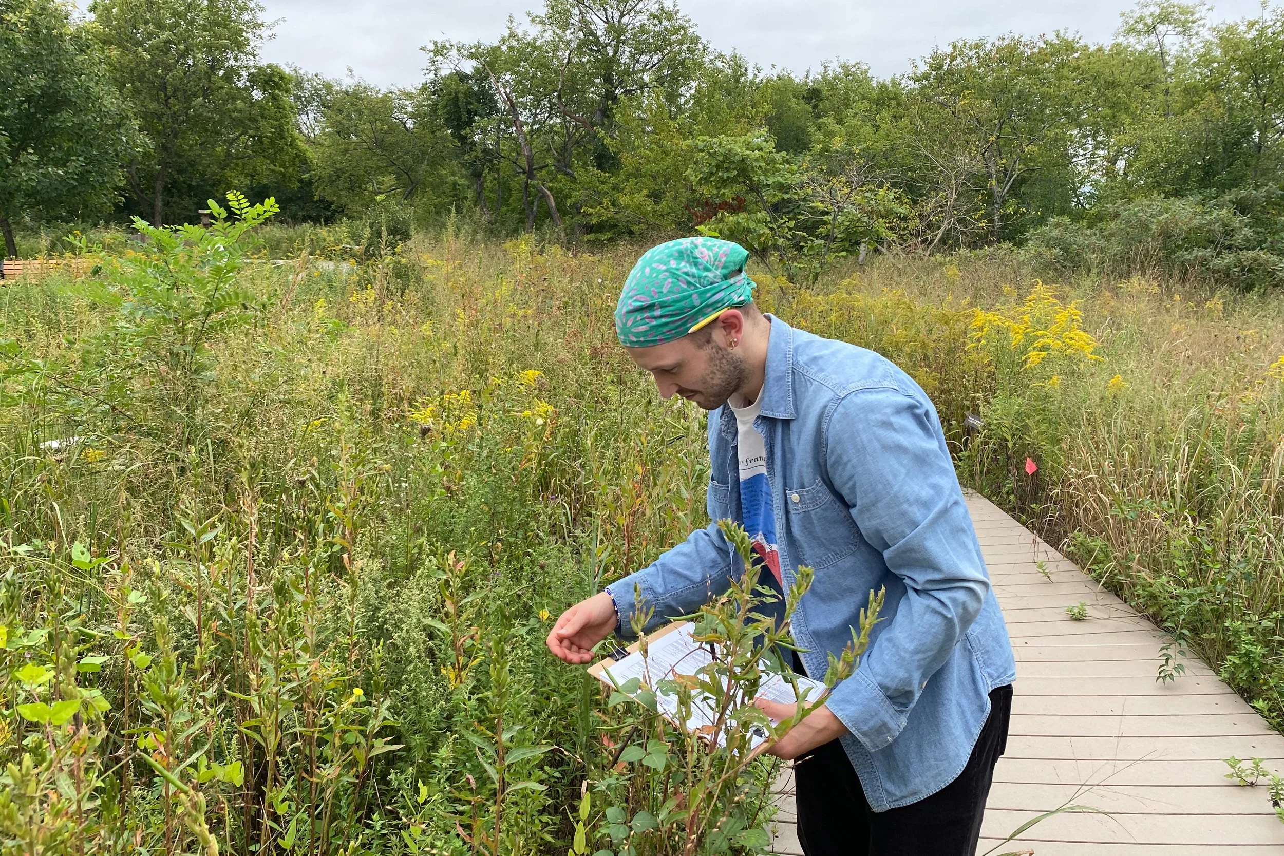 Pollinator Garden Planting Day with the National Park Service