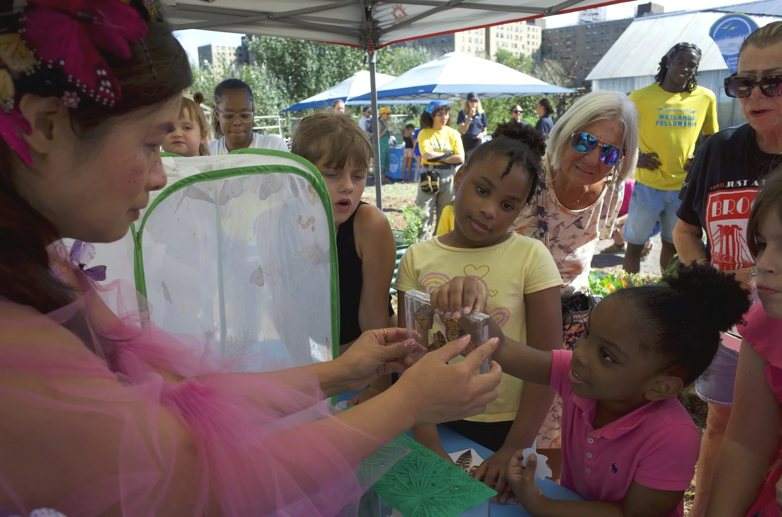 Pollinator Festival - A Spring Celebration 
