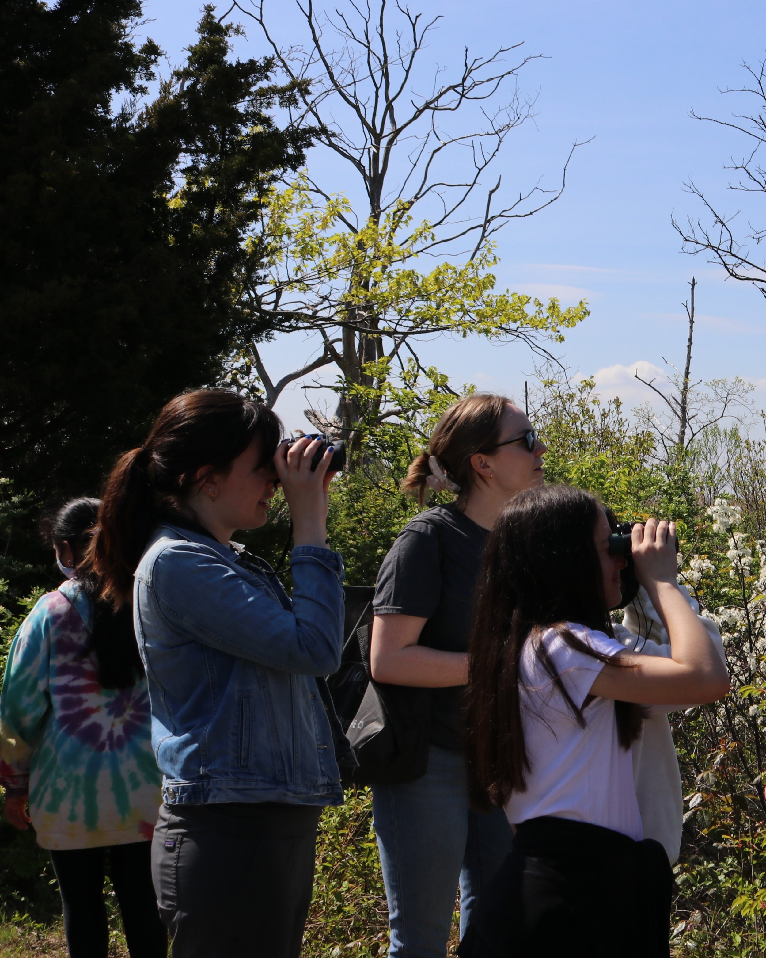 City Nature Challenge BioBlitz with JBRPC and the National Park Service
