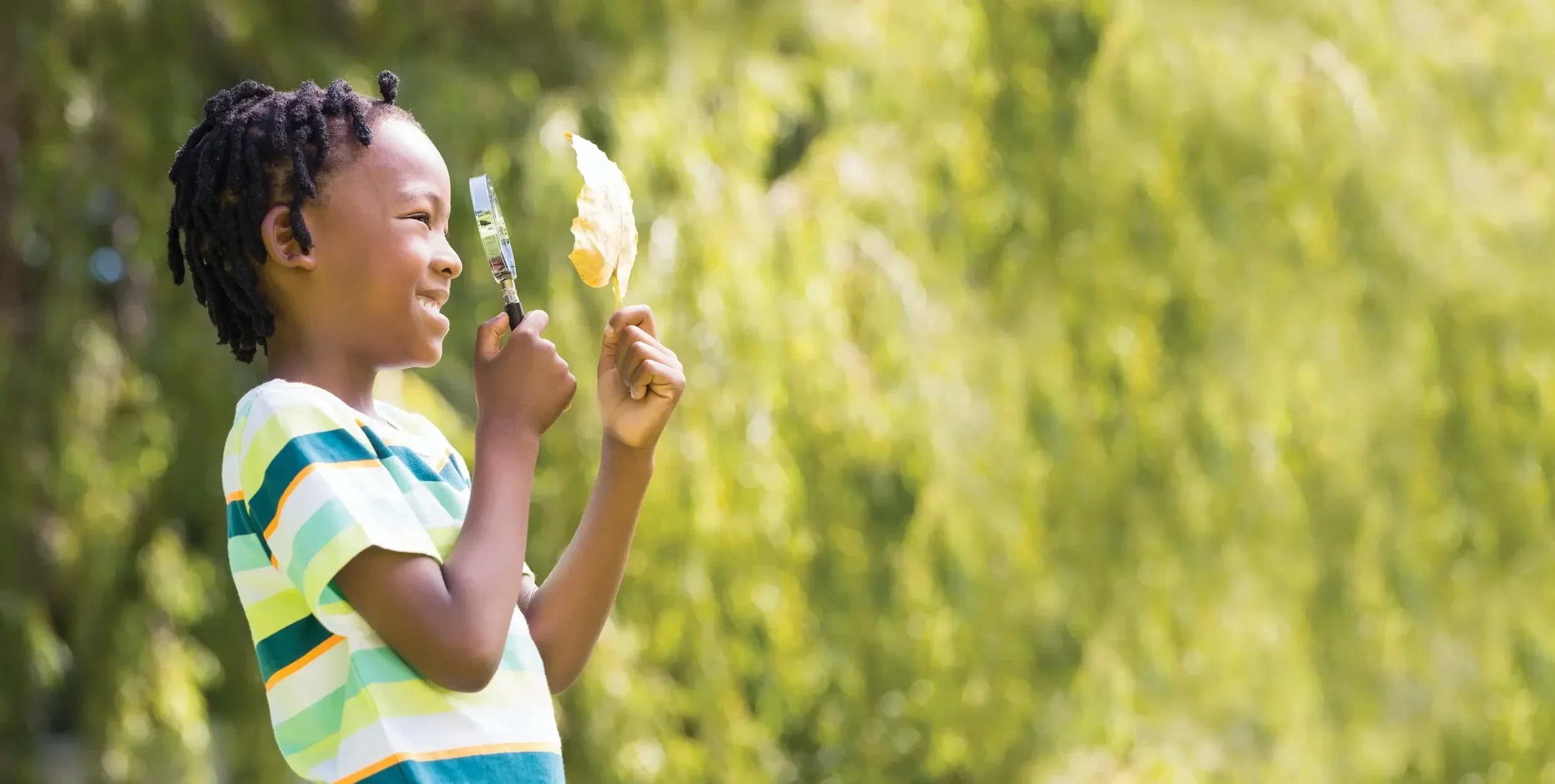 City Nature Challenge BioBlitz with New York State Parks