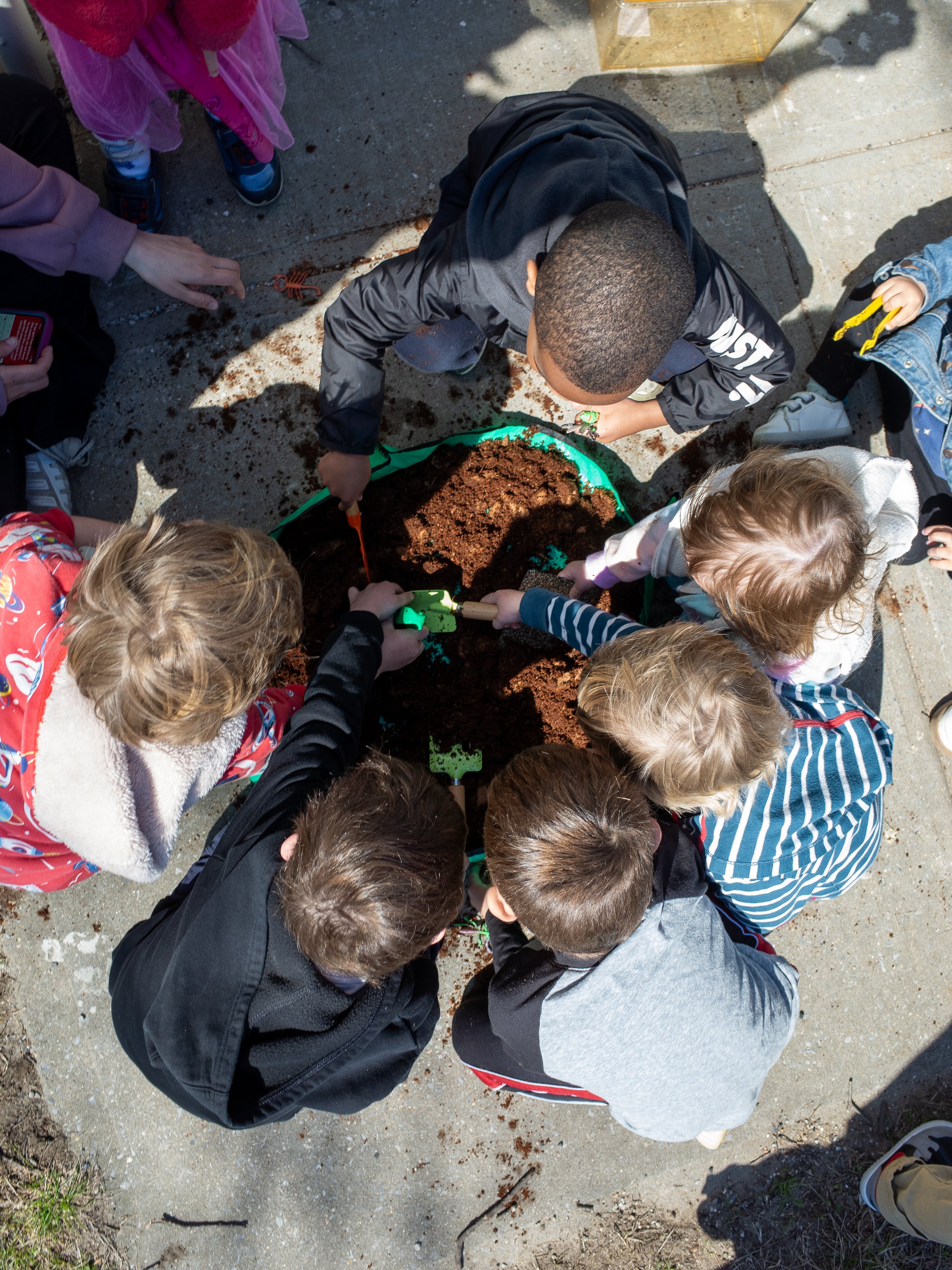 Tot Time with New York State Parks