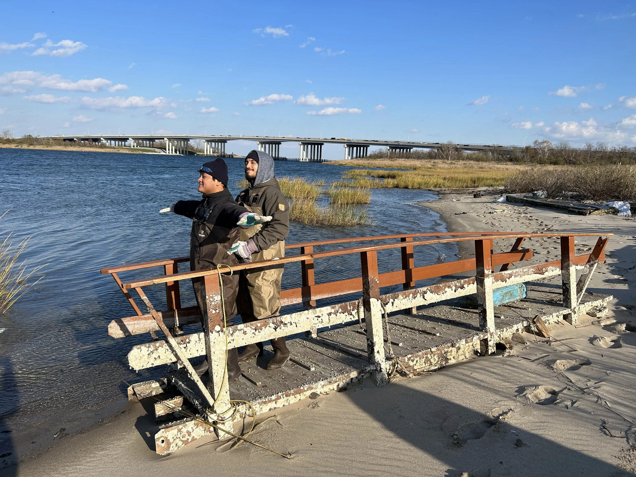 November Cleansweep: Bayswater City Park Shoreline