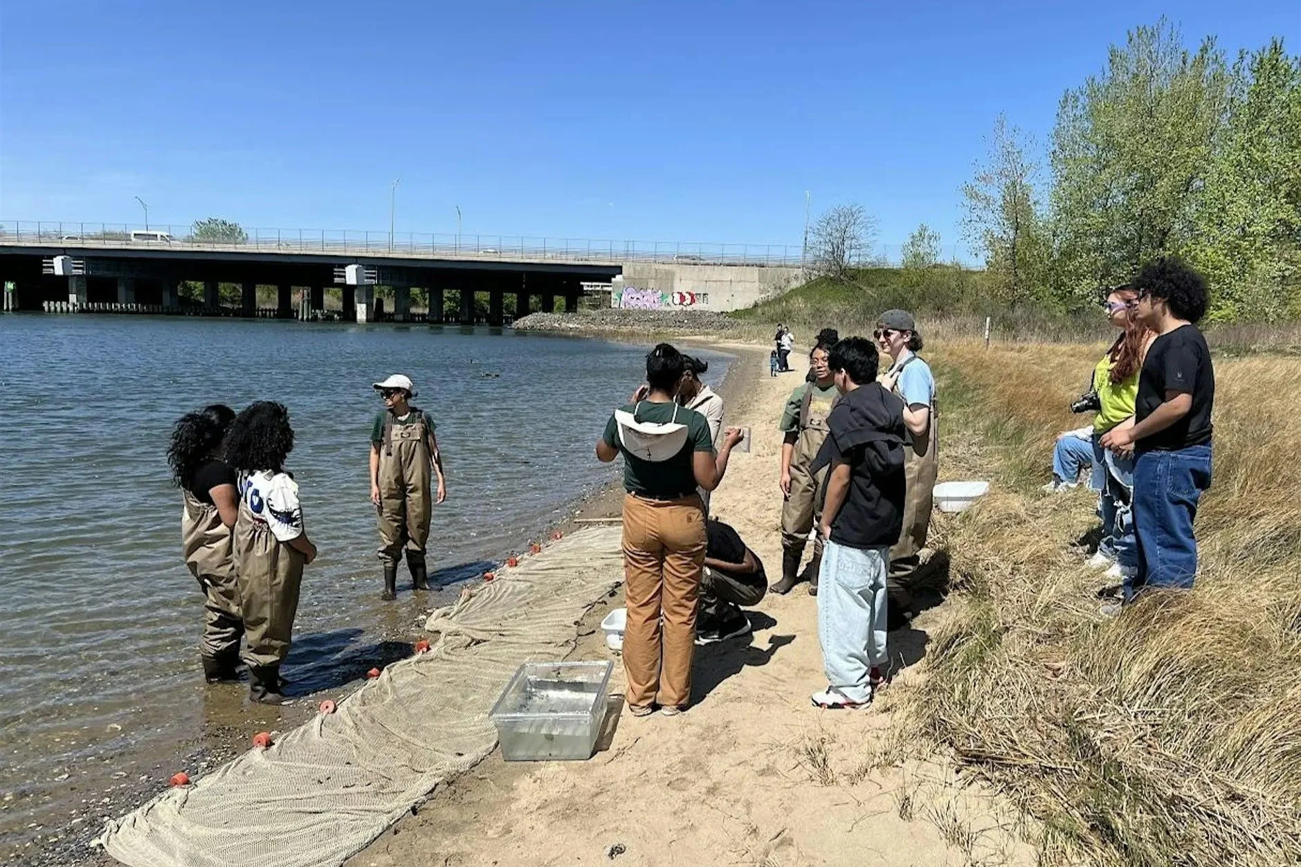 World Fish Migration Day Seining at Shirley Chisholm State Park