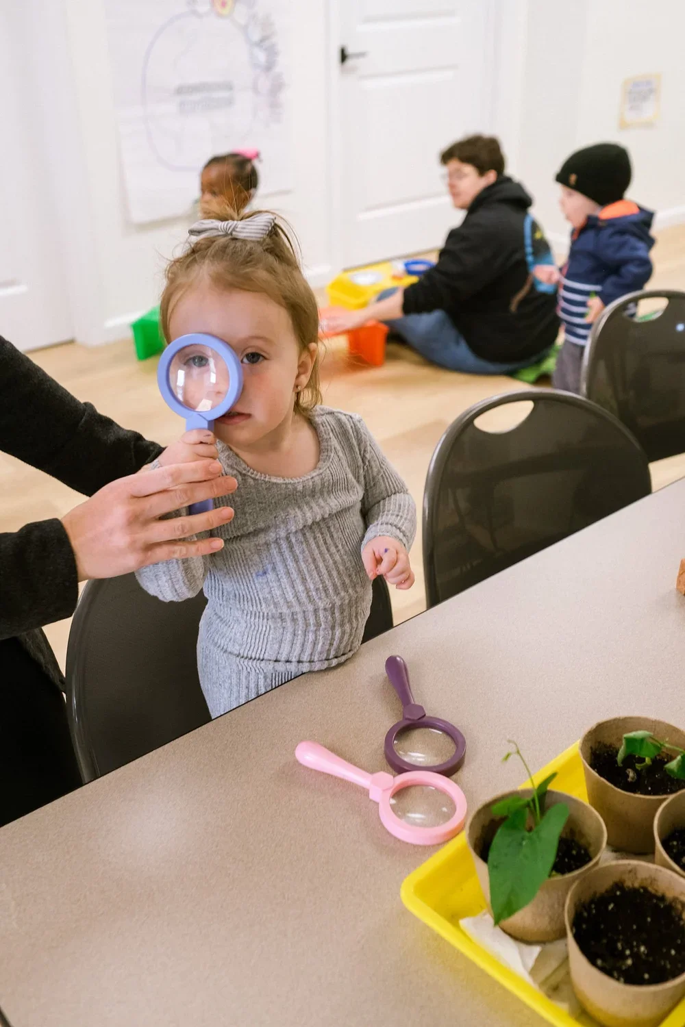 Park Pals at Floyd Bennett Field: Fall Nature Explorers
