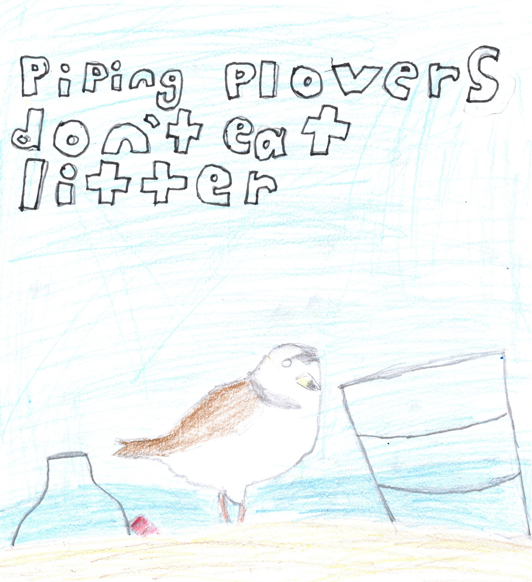 13.png