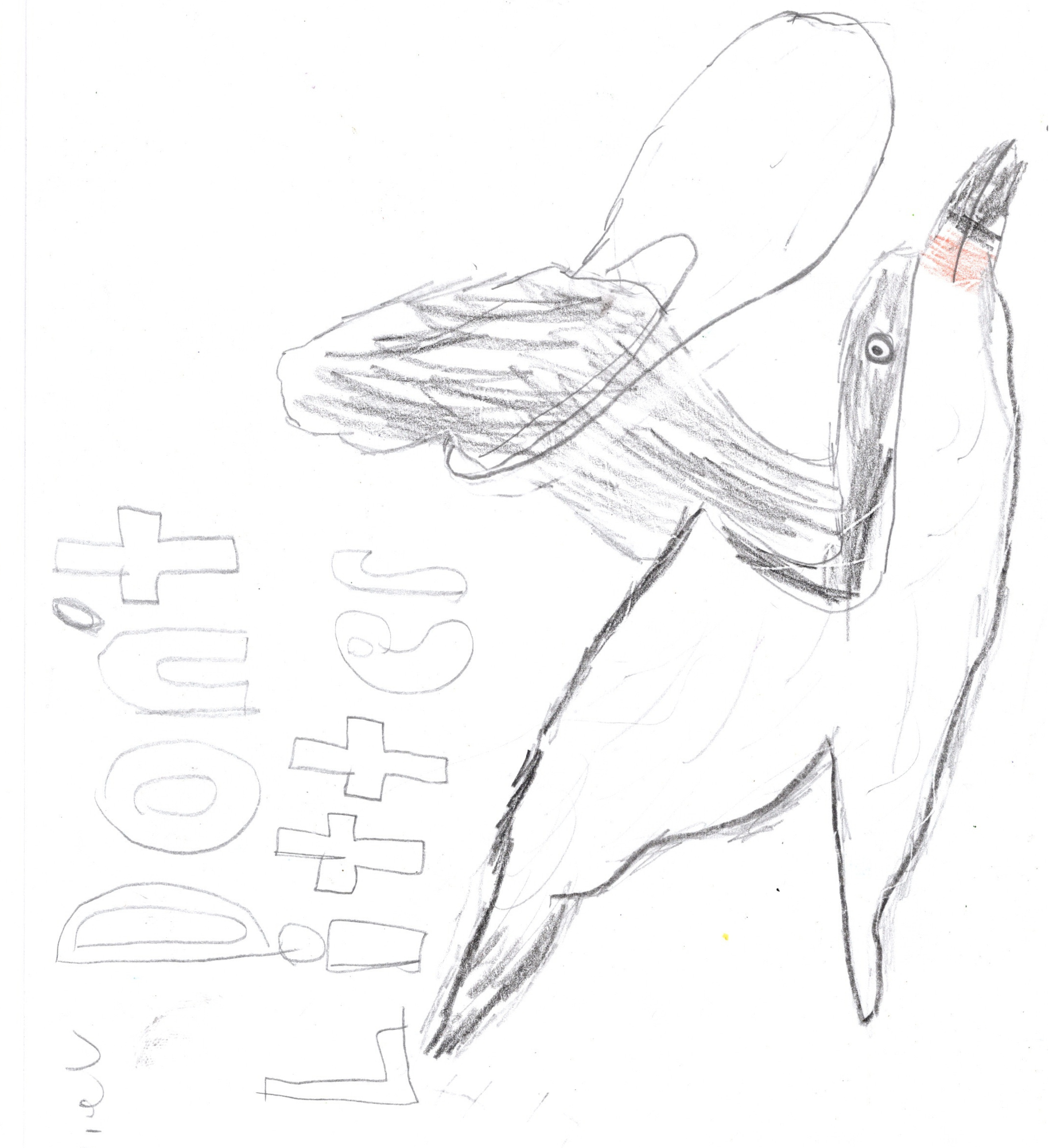 SIDEWAYS (2).png