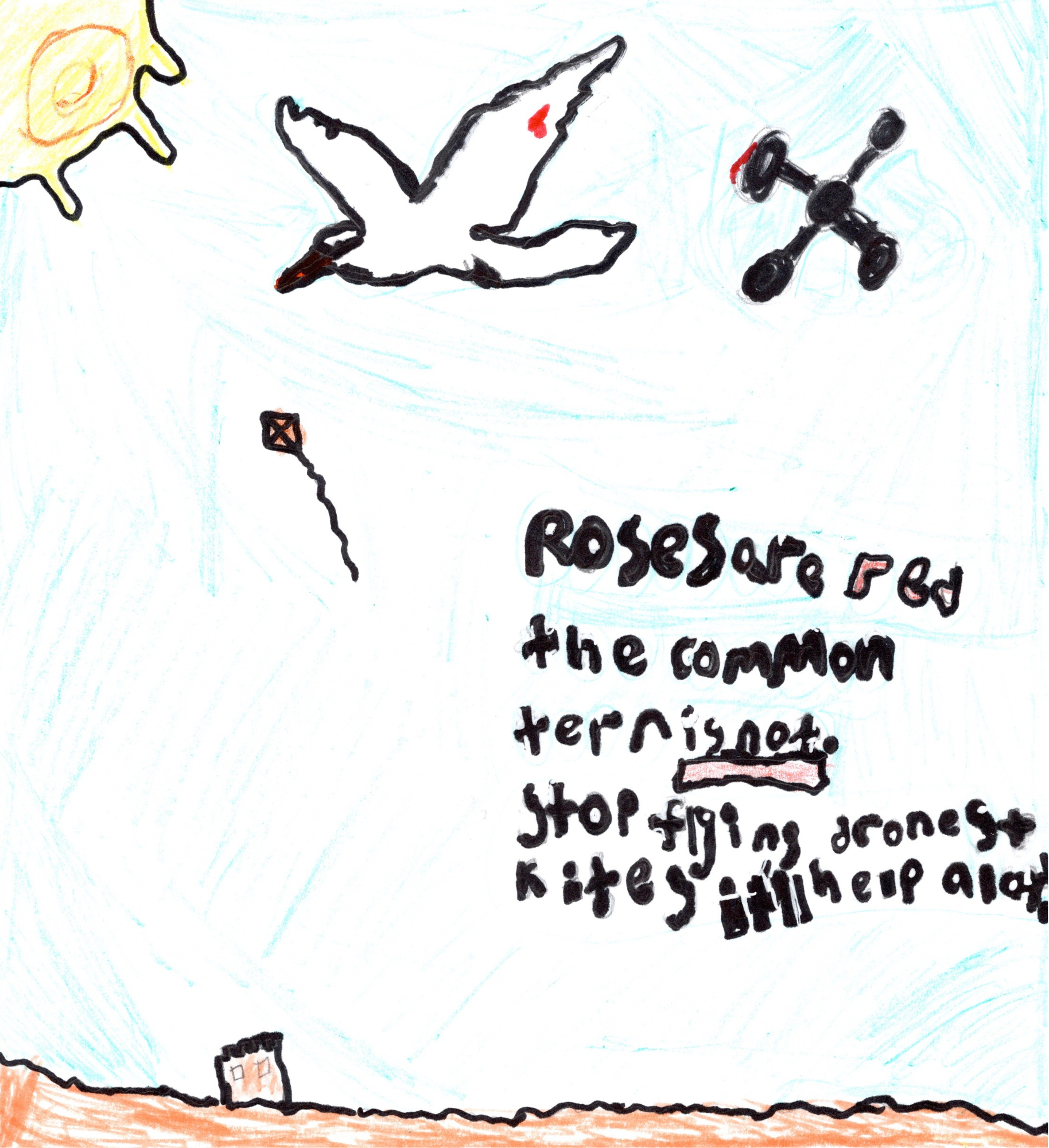 68.png