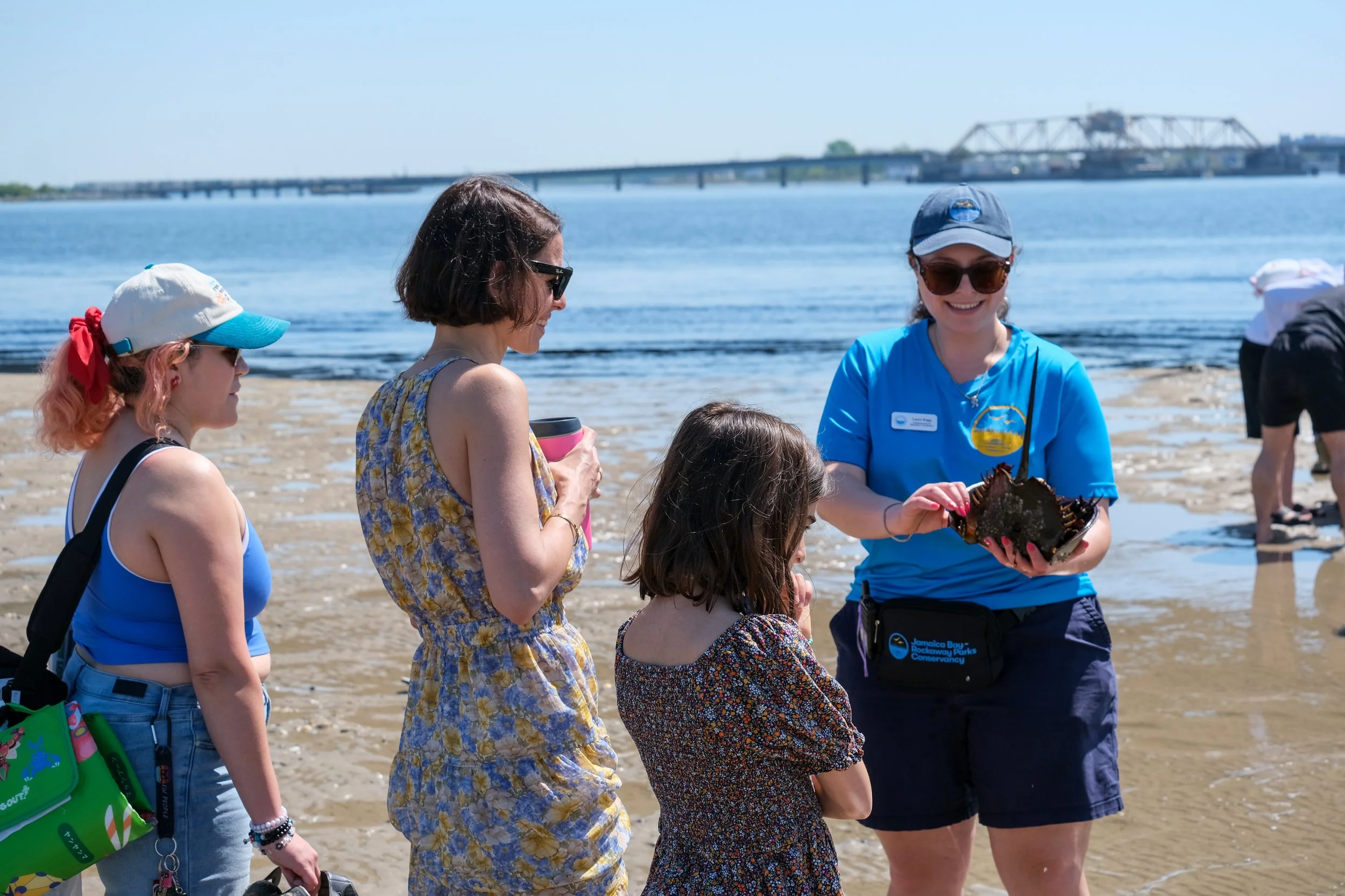Spring Recap &amp; Jamaica Bay Festival