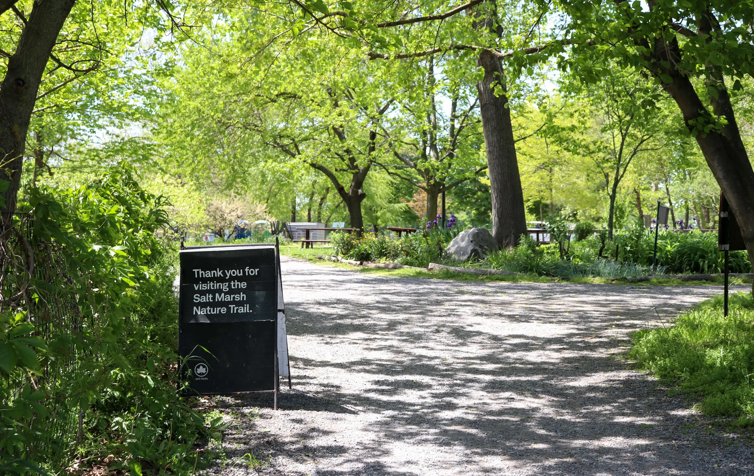 Forest Bathing Workshop: Restoring Our Relationship with the Earth