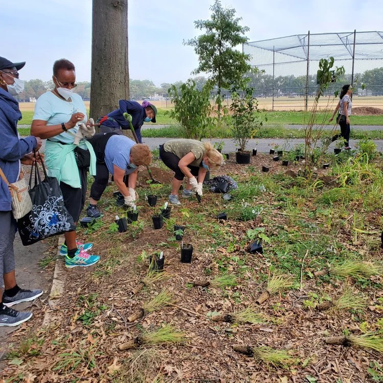 Marine Park Forest Restoration