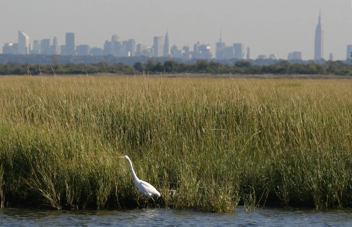 "Ranger's Choice" Guided Walk at Jamaica Bay Wildlife Refuge