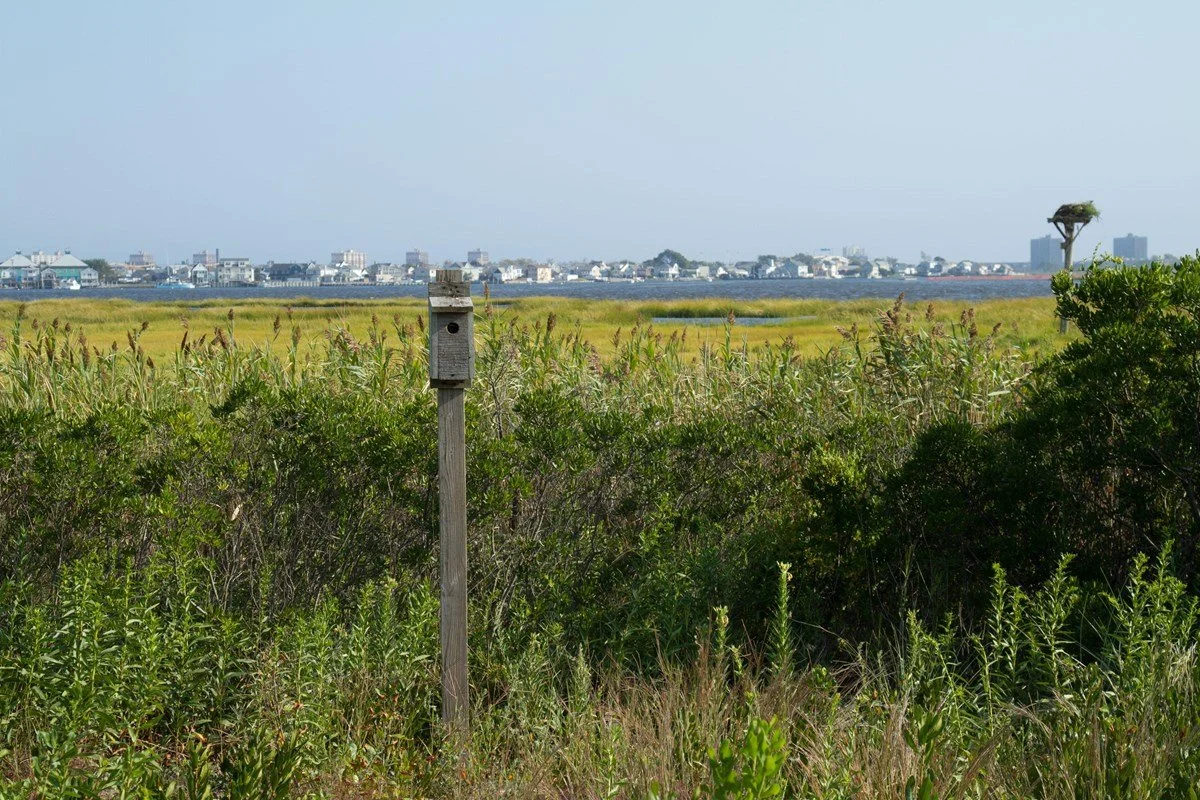 Jamaica Bay: Refuge for Wildlife, Refuge for People with the National Park Service
