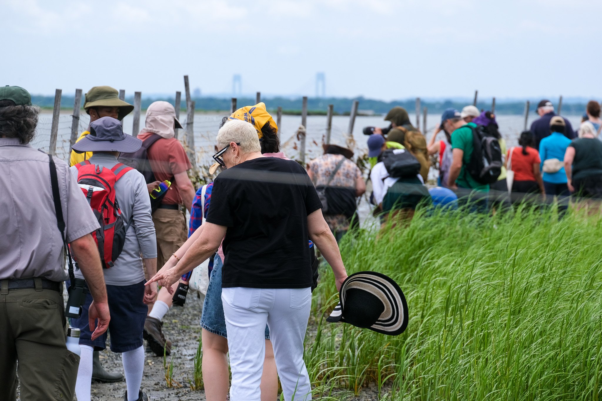 Open House New York: West Pond Living Shoreline Tour