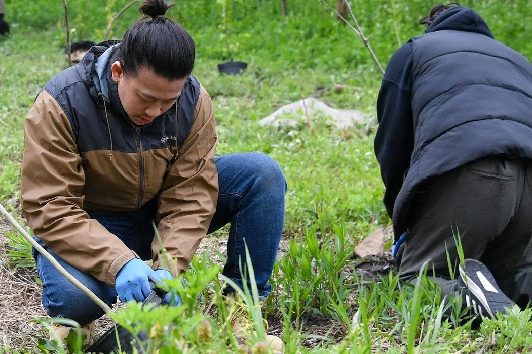 Idlewild Park Forest Restoration