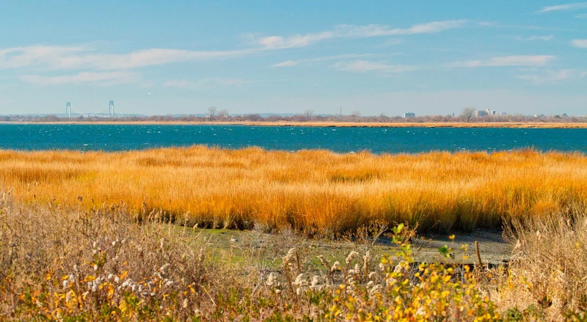 Fall Foliage Walk