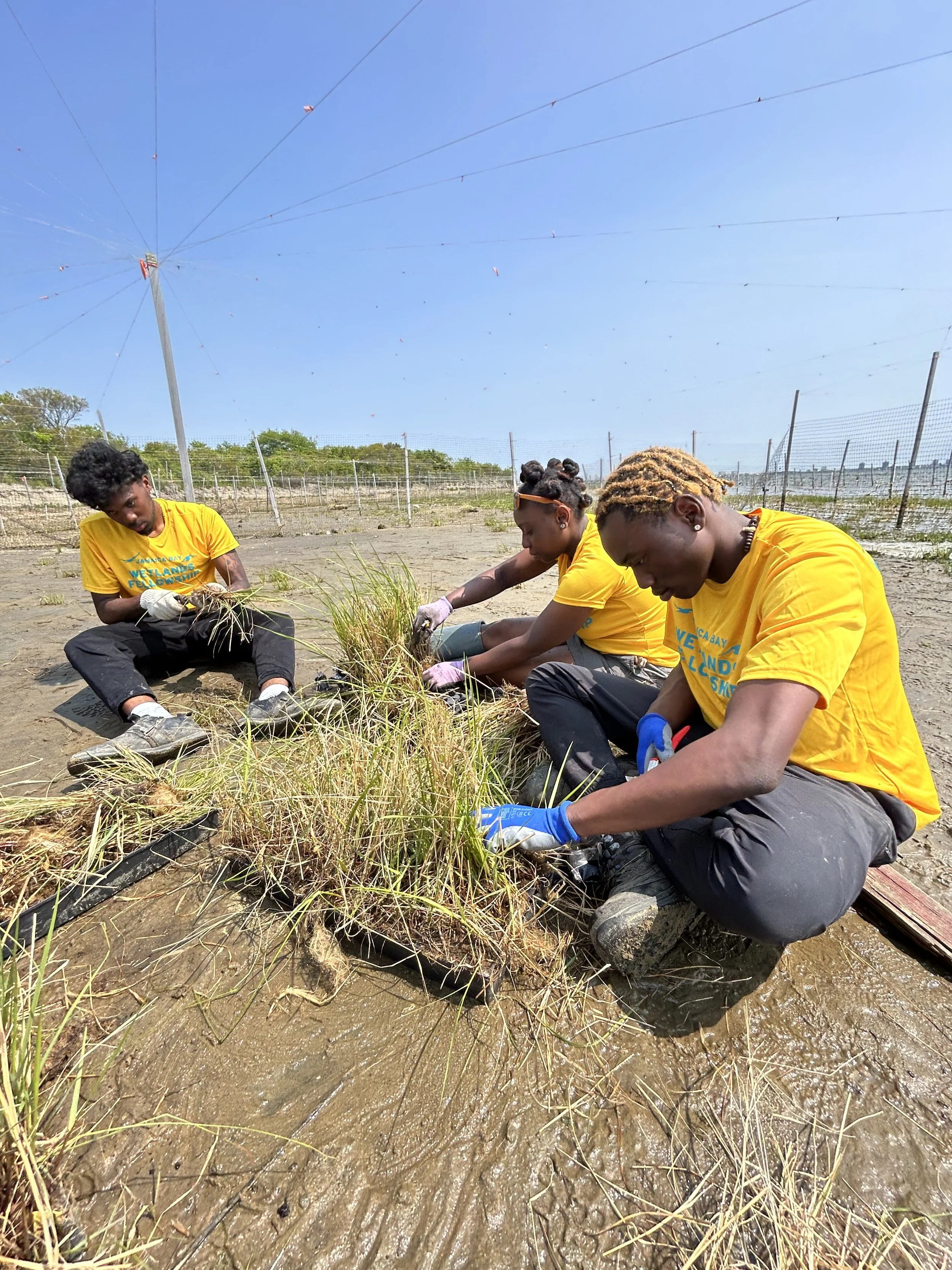Local Workforce Initiative Workforce Development β Jamaica Bay-Rockaway Parks Conservancy
